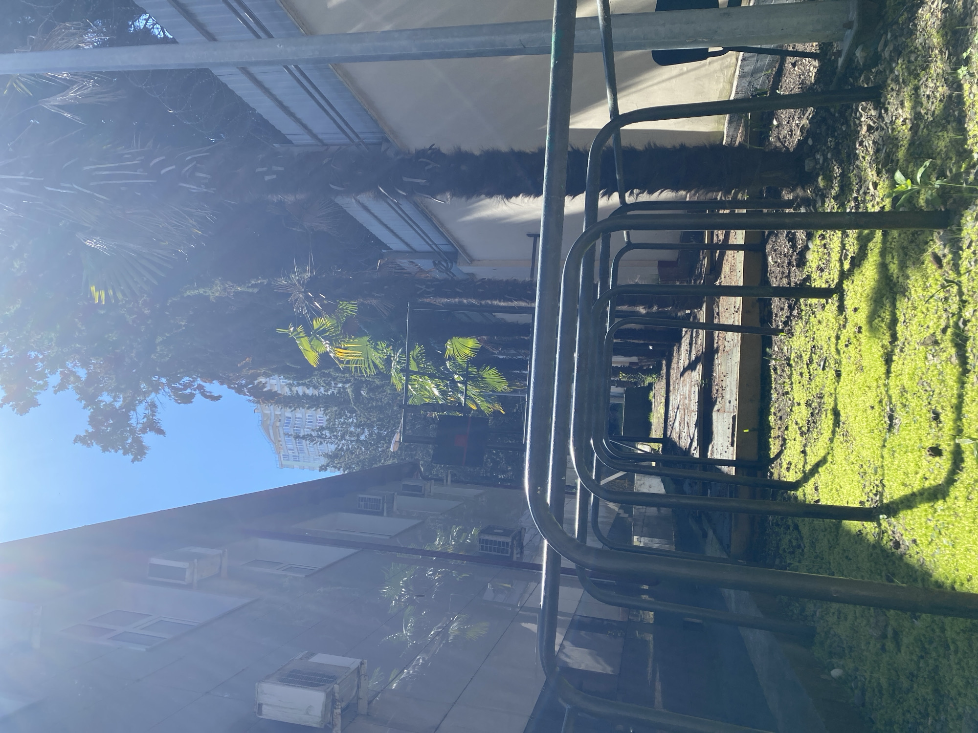 The image presents a view through a series of metal bike racks in an outdoor urban environment. Lush green moss or grass covers the ground to the right of the racks. In the background, there is a building with multiple visible air conditioning units, and a taller building can be seen in the distance under a clear blue sky. Palm trees and other foliage add to the scene. The photo's location can be identified as Sochi, Russia, based on the architectural style of the buildings and the presence of palm trees, which are characteristic of this region.