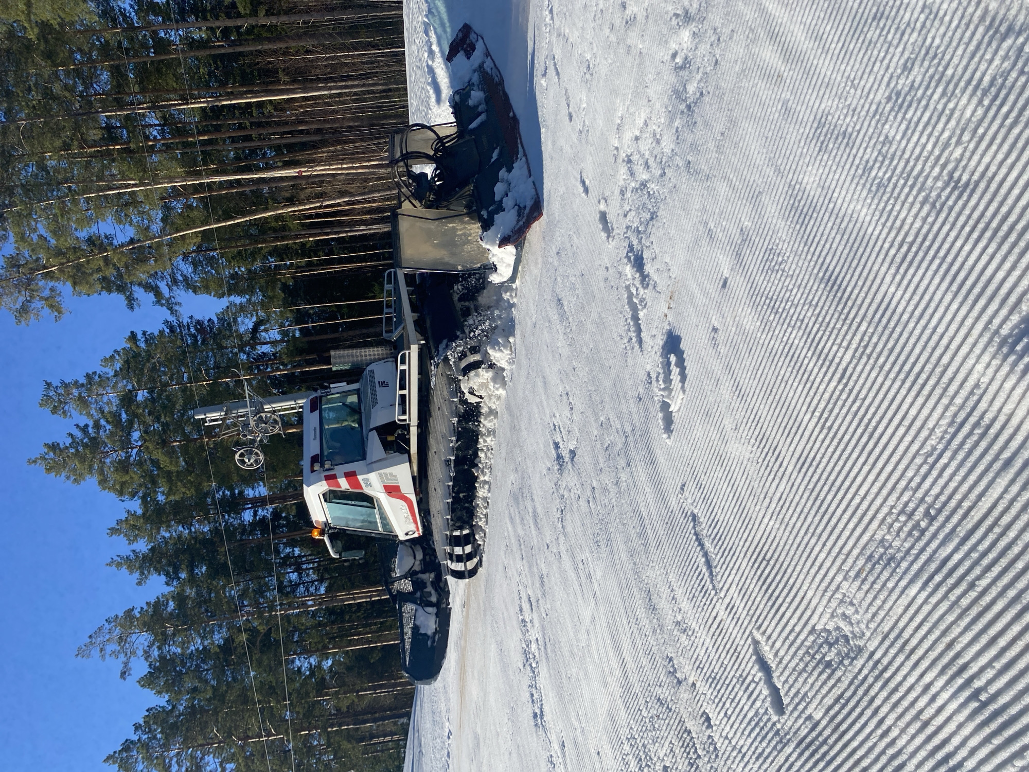 A snow groomer is positioned on a groomed ski slope. Tall, thin evergreen trees border the left side of the slope, with a clear blue sky visible above. The slope's surface exhibits parallel tracks created by the snow groomer. The location is identified as Прикамский, Russia.