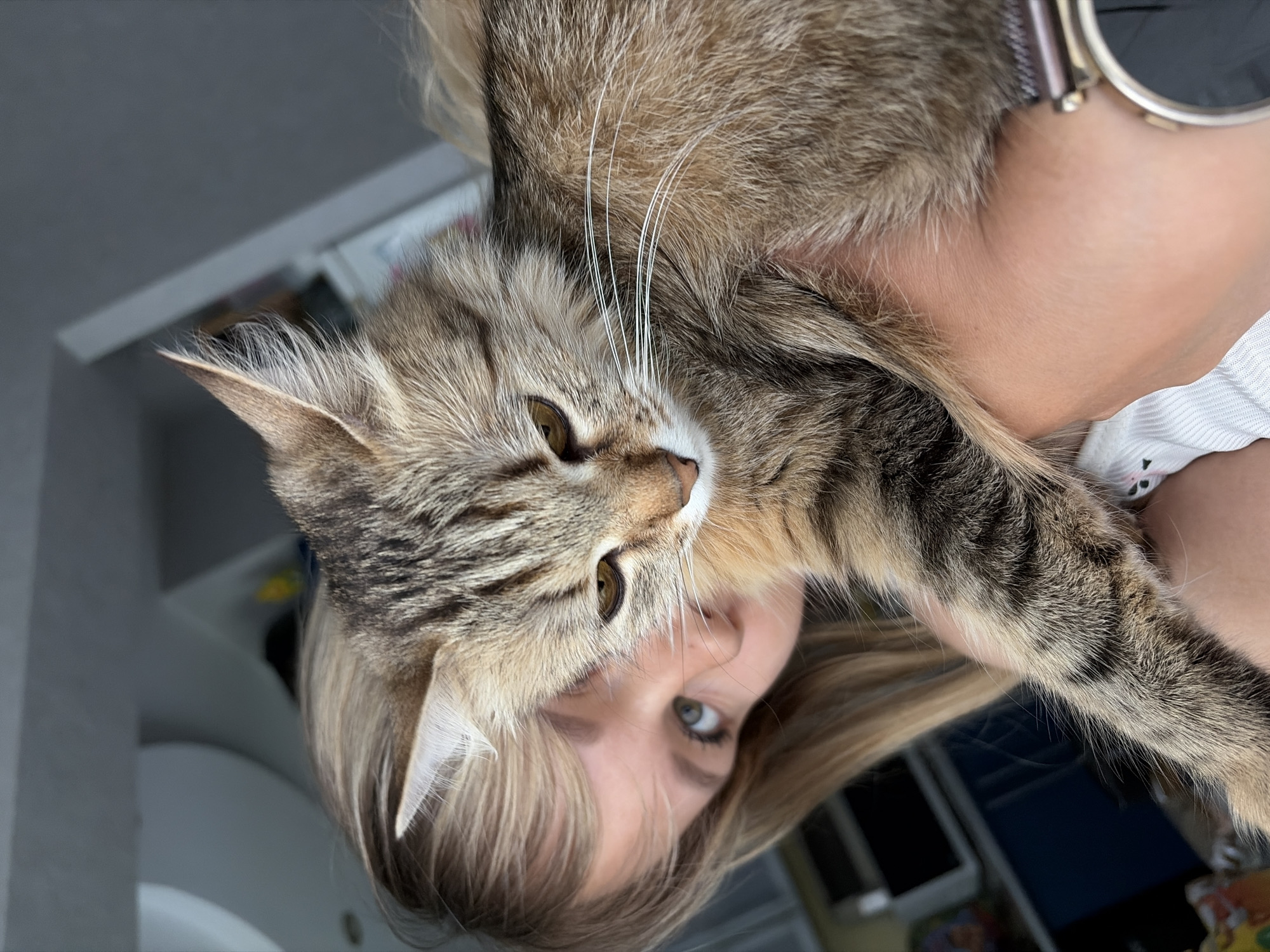A woman is holding a fluffy tabby cat close to her face. The woman has blonde hair and green eyes. The cat has golden eyes and long whiskers. A watch is visible on the woman's wrist. A white cabinet and other indistinct objects are in the background. The image appears to have been taken indoors. The location of Chaikovsky, Russia is not evident in the image.