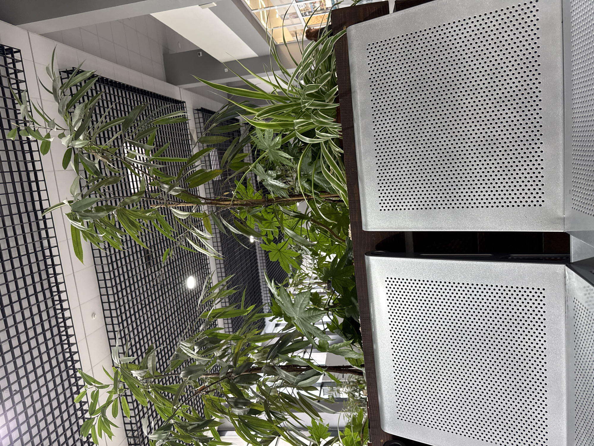 The image shows a close-up indoor scene with two gray metal boxes stacked vertically, both featuring a perforated pattern. Green plants with various leaf shapes and sizes are positioned behind and around the boxes. In the background, a wall with a grid-like black wire design and white tiles is visible. The environment suggests a modern interior space, possibly a public area or commercial establishment. The photograph's orientation appears to be rotated. No specific information indicates it is in Pleven, Bulgaria.