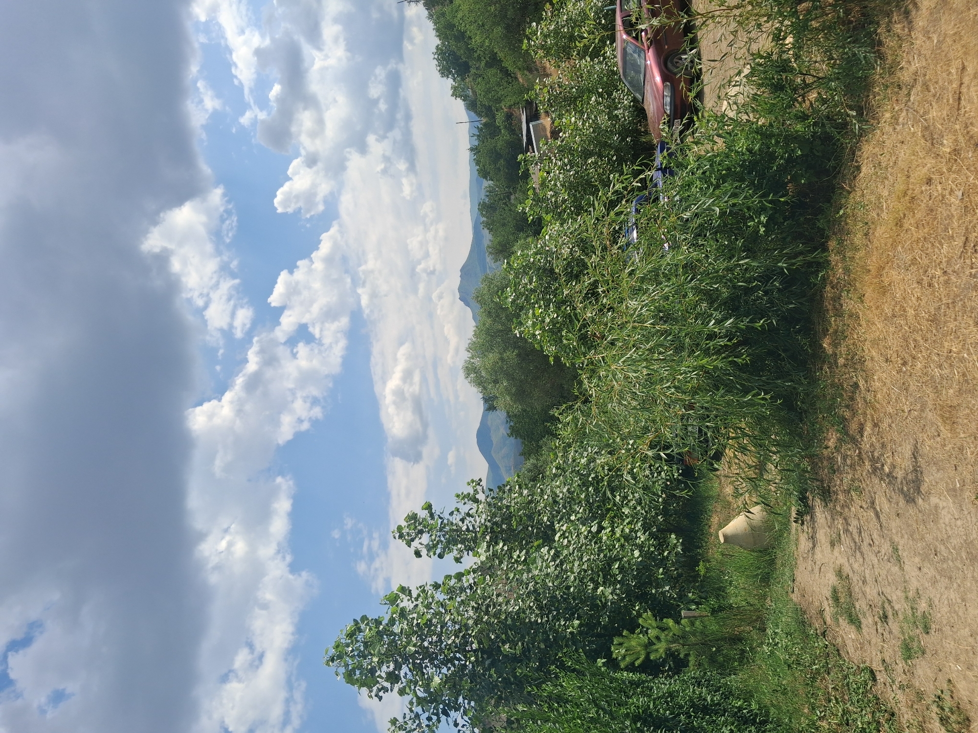 The image depicts an outdoor scene in Malishka, Armenia, characterized by lush greenery and a cloudy sky. In the foreground, a dirt path leads through dry grass and vegetation, with a large, light-colored amphora positioned on the left side. Dense foliage, including trees and bushes, dominates the middle ground, partially obscuring two parked cars: a red sedan on the right and a blue vehicle partially visible behind the red one. Beyond the vegetation, rolling hills covered in trees stretch into the distance, culminating in mountains under a sky filled with dramatic clouds. The overall impression is one of a natural, somewhat rural setting.