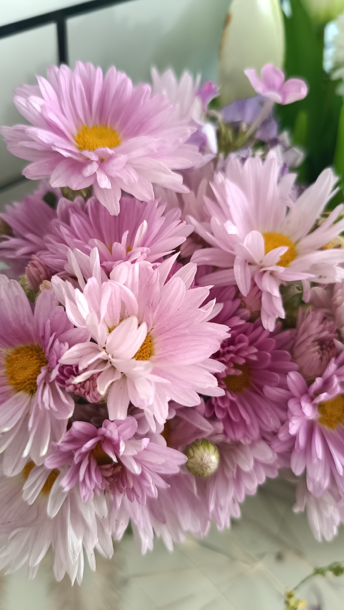 A close-up, overhead shot showcases a bouquet of pink and white chrysanthemums with yellow centers. The flowers are densely packed and slightly blurred, creating a soft, romantic aesthetic. The lighting is soft and diffused, highlighting the delicate petals and their varied shades of pink. The background is out of focus, but suggests a light-colored, possibly tiled or paneled wall with dark horizontal lines. The image appears to be taken indoors, in a well-lit setting, likely a home or a florist shop. There is no identifiable information to suggest a location in Chaikovsky, Russia.