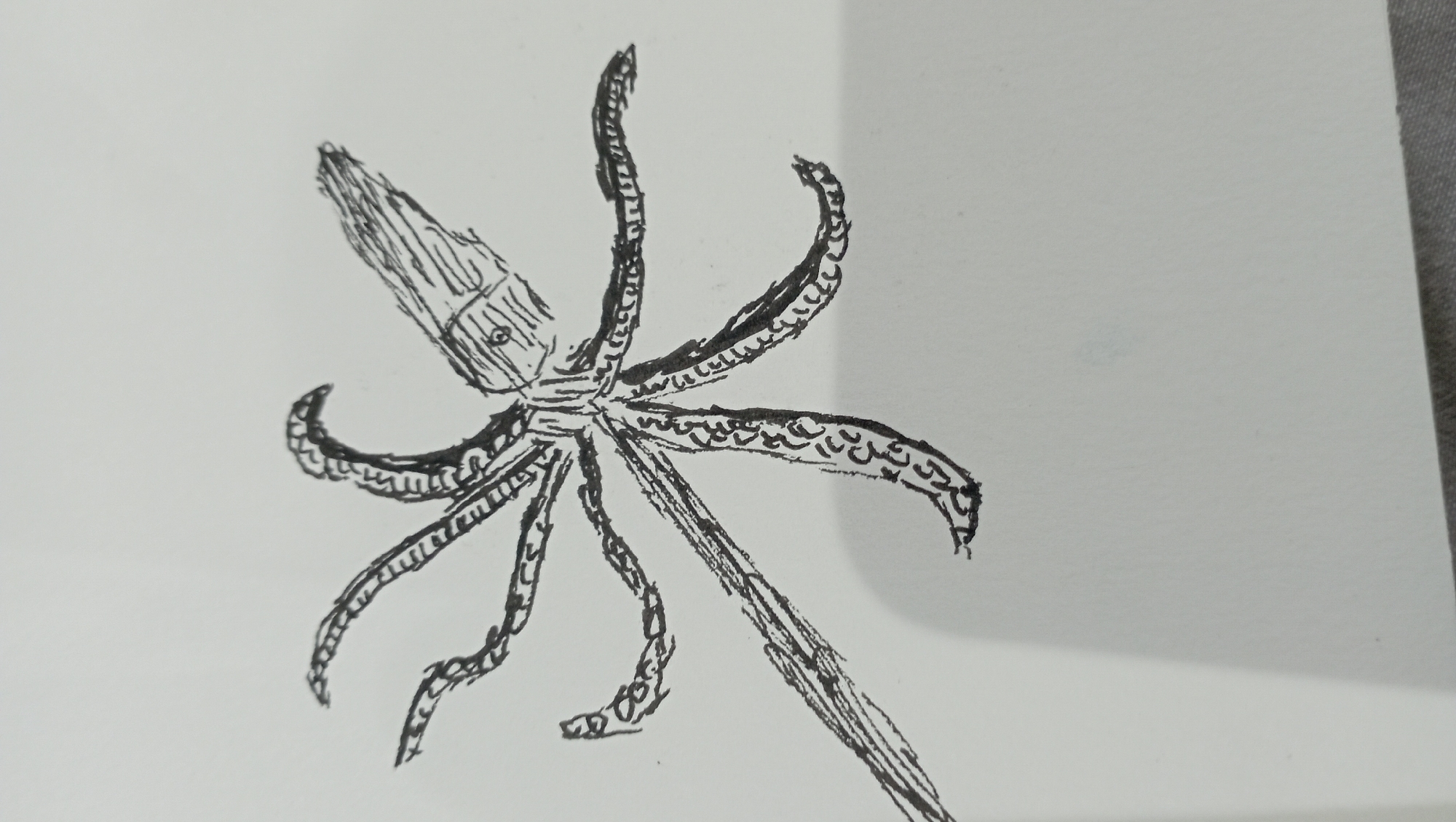 The image is a black and white drawing of an octopus. The octopus has a bulbous head with two eyes. Eight tentacles extend from the head, each with a textured or patterned surface. The octopus is positioned in the center of a white surface, likely paper. The background is plain with a slight shadow on the right side. There are no indications of the city of Nha Trang Ward, Vietnam.