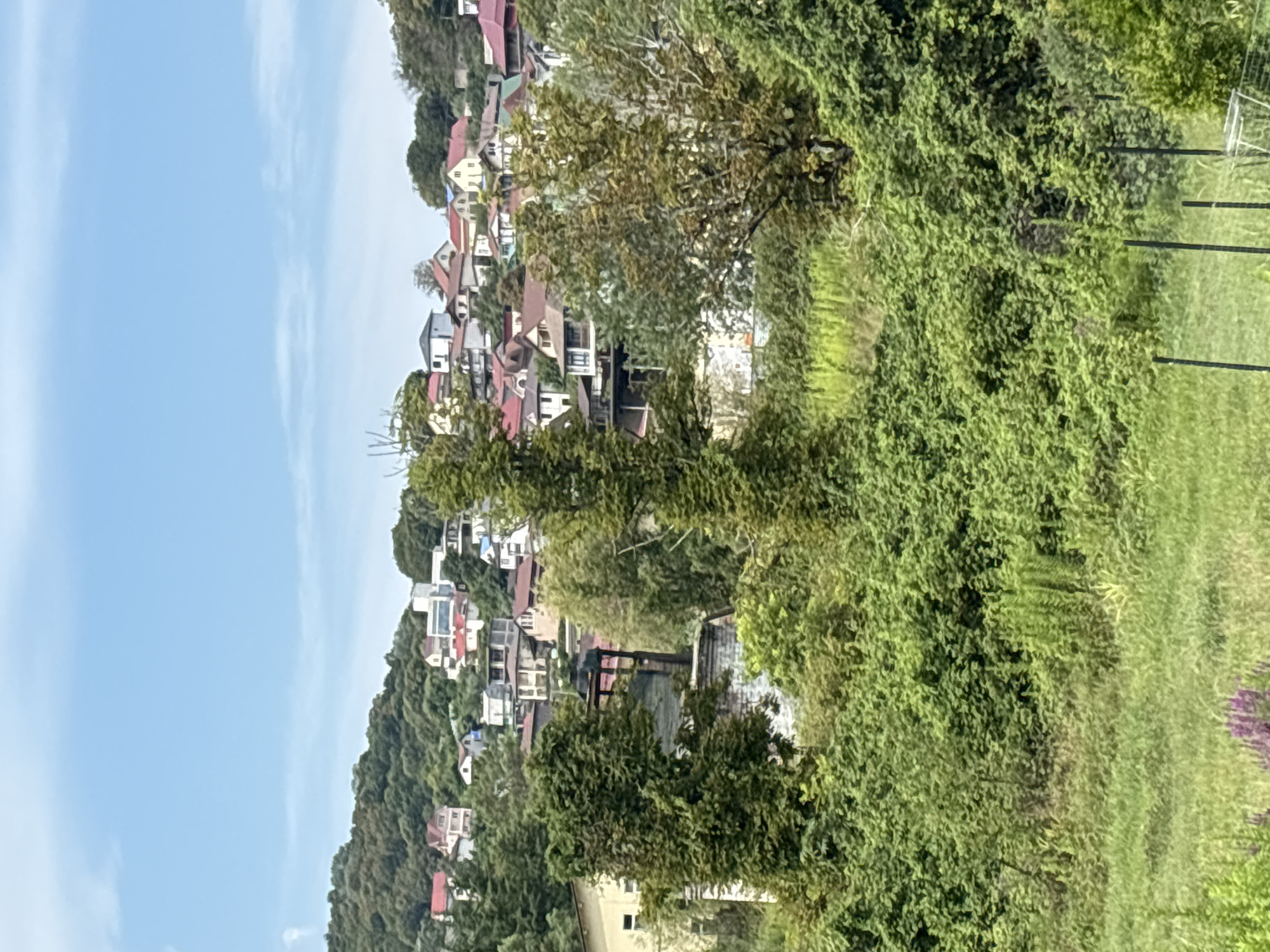 The image shows a view of a residential area on a hillside in Veseloye, Russia, under a partly cloudy sky. In the foreground, dense green foliage and trees dominate the scene, with a patch of grass and some purple flowers visible at the bottom left. A black metal fence runs across the lower right portion of the image. In the midground, a building with a yellow facade and a section of brick structure are partially obscured by vegetation. Further up the hillside, a collection of houses with red and white roofs, and varying architectural styles, are nestled among trees. The houses are spread out across the incline, with some appearing to be multi-story. The overall impression is of a somewhat overgrown, natural setting with scattered human habitation on a slope.