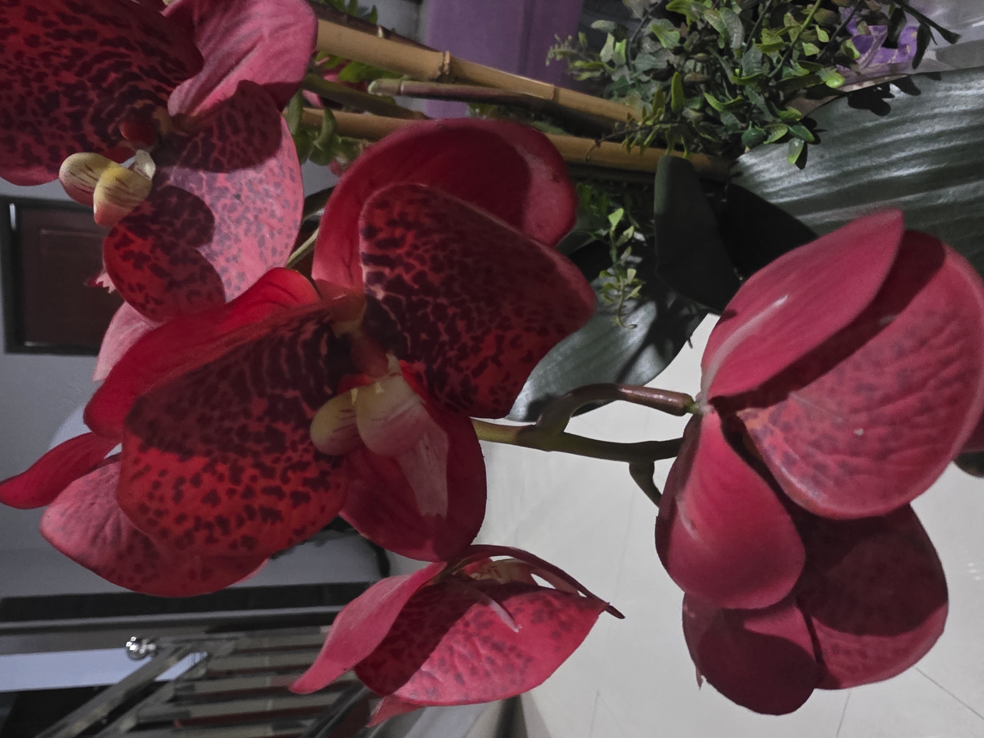 A close-up, low-angle shot captures a bouquet of artificial red orchids in a planter. The orchids, with their velvety petals and dark speckles, are the primary focus. The background features a dimly lit interior with a railing and a door, suggesting a domestic setting in Mekarsari, Indonesia. The lighting casts shadows, emphasizing the texture of the petals and the surrounding foliage.