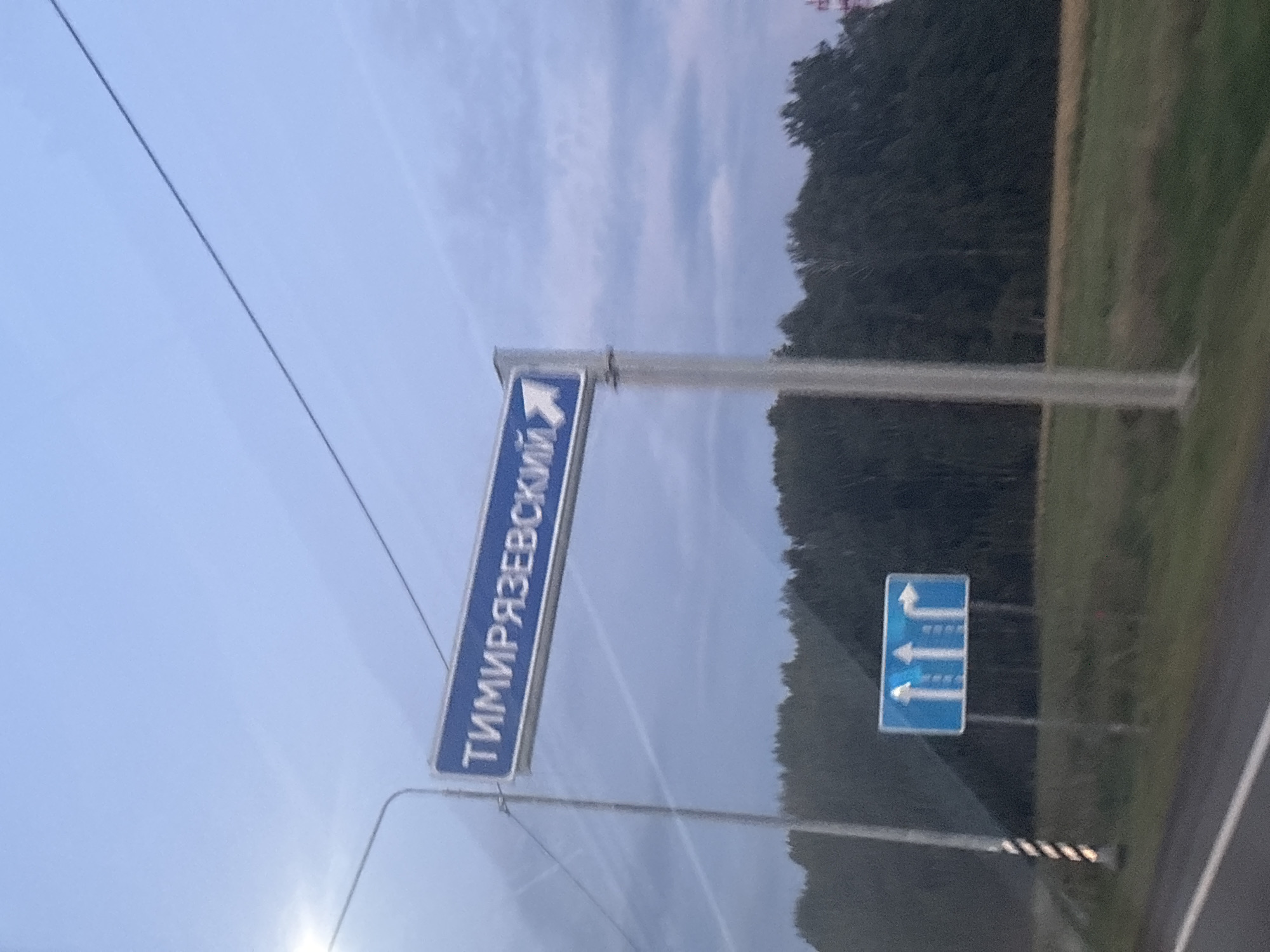 The image shows a street sign in Russian that reads "ТИМИРЯЗЕВСКИЙ" with an arrow pointing to the right, indicating the direction of Timiryazevskii. Below this sign is another blue sign with white arrows, showing that traffic can go straight or turn right. The signs are mounted on a metal pole. The background consists of a dark forest and a grassy field, suggesting a rural or suburban setting. The sky is overcast, and the overall lighting indicates it is either early morning or late afternoon. There are no people or vehicles visible in the frame.