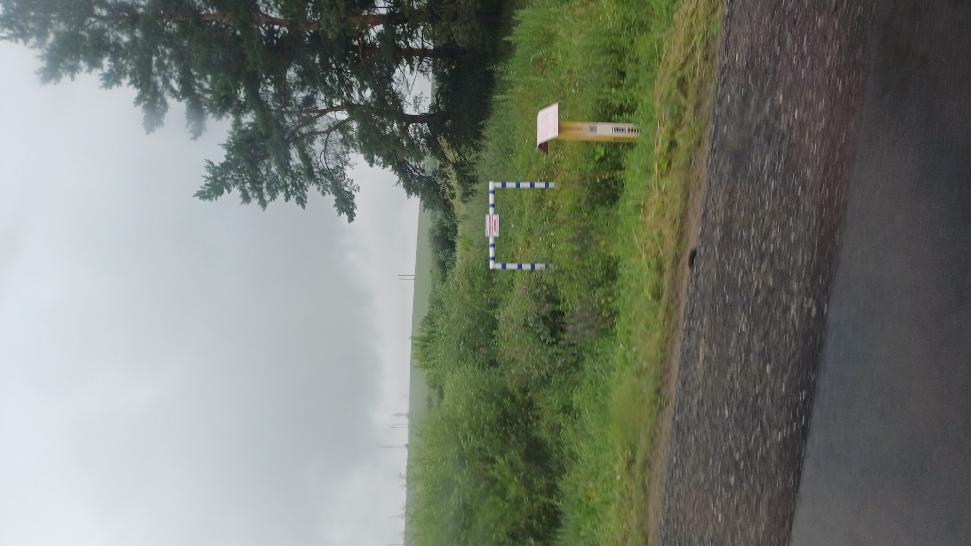 The image is a medium-shot, horizontal, outdoor, daytime photograph taken from a moving vehicle. The foreground shows a dark, wet asphalt road. The middle ground is a densely vegetated area with various shades of green grasses and shrubs, some with small white flowers. In the middle ground, there are two structures: a horizontal white frame with blue stripes on the left, and a yellow pole with a pinkish-red roof on the right. The frame appears to have a sign attached to it. Behind the vegetation, there are rolling green hills, some with power lines and distant trees. The sky is overcast with heavy gray clouds. The image appears to be taken in Novyi Chul'tem, Russia, based on the provided context.
