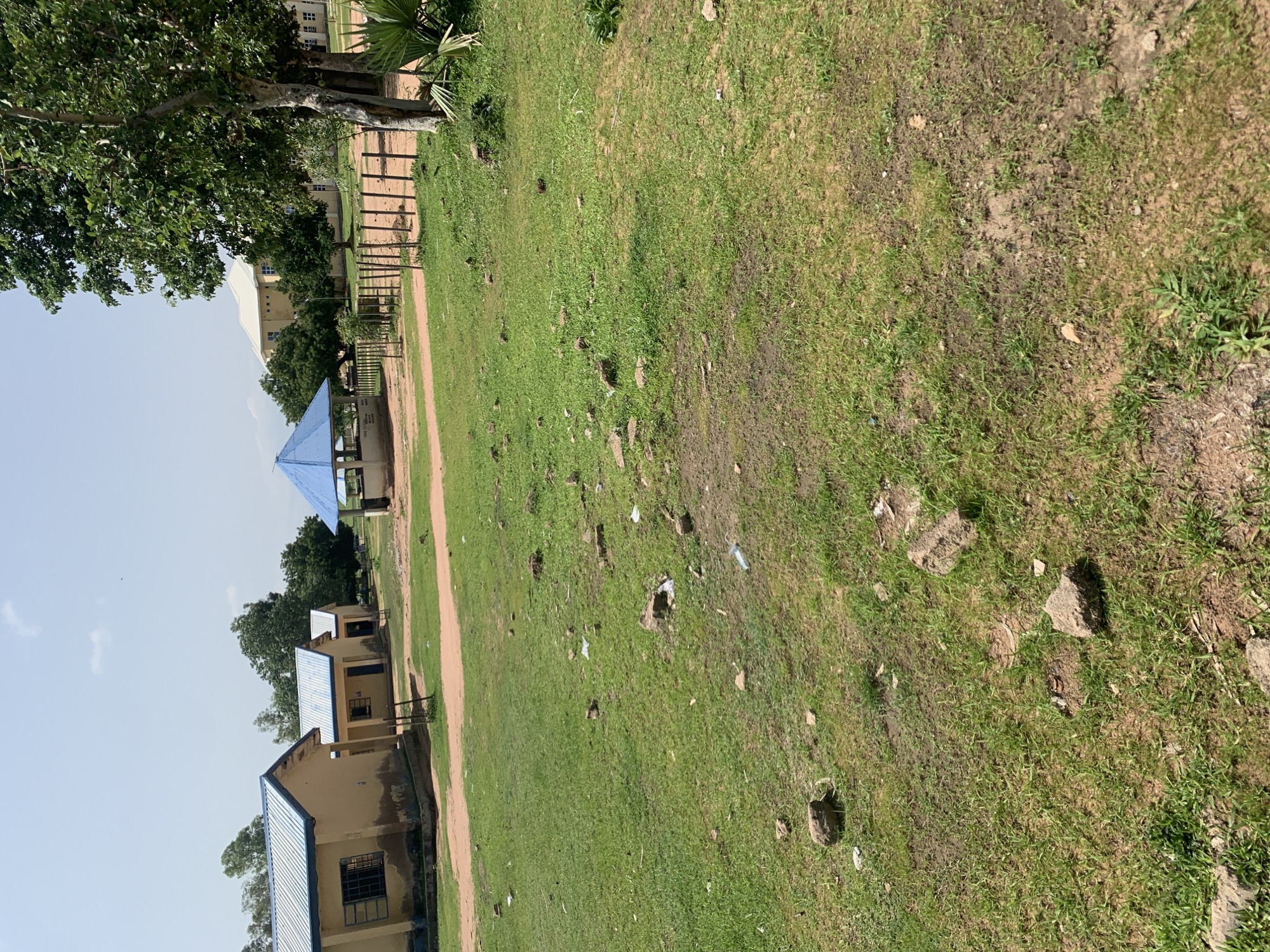 The image depicts a section of a school campus in Jalingo, Nigeria, under a bright, clear sky. In the foreground, a large expanse of green grass is dotted with scattered rocks and some litter, suggesting a somewhat unkempt state. A dirt path runs diagonally across the mid-ground. To the left, a row of light-colored, single-story school buildings with blue-gabled roofs are visible. Further back, a blue gazebo with a conical roof stands open. Beyond that, a larger, multi-story building with a white roof and many windows can be seen, along with a line of trees. The right side of the image is dominated by a large, mature tree with dense foliage, and a wooden fence.