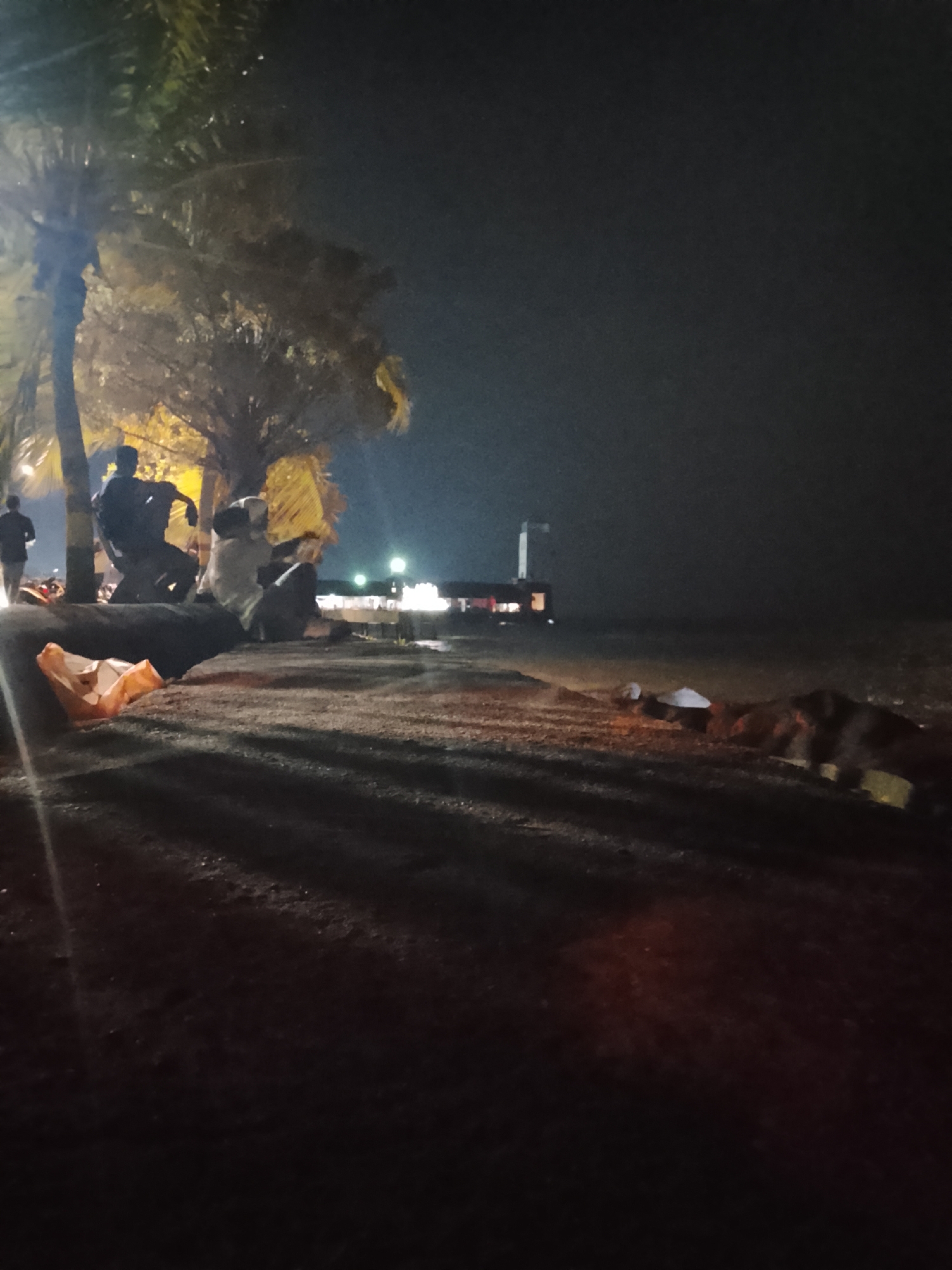 The image captures a nighttime scene on a beach in Tanjung Balai Karimun, Indonesia. Several individuals are gathered near palm trees, with some seated and others standing. One person is seen walking away from the camera. The beach appears to be composed of sand and some debris. In the background, distant lights suggest a developed area or possibly boats on the water. The overall atmosphere is dimly lit, with artificial lights casting shadows and illuminating parts of the scene.
