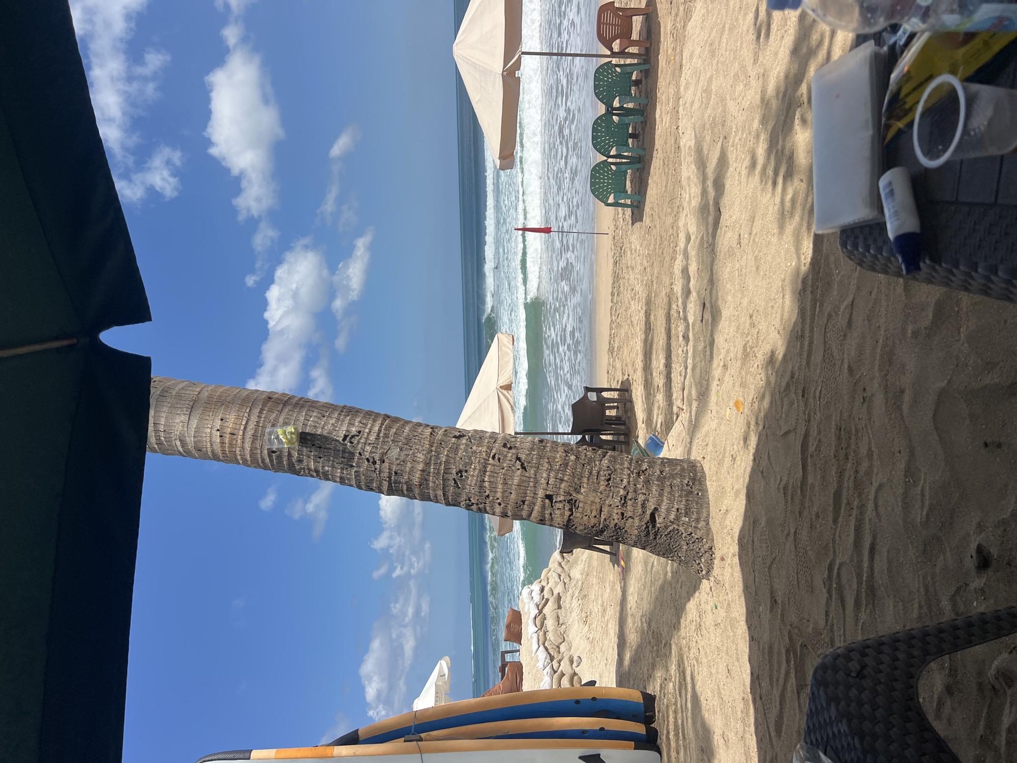 The image depicts a beach scene in Kuta, Indonesia. In the foreground, a dark woven chair is partially visible, with a table in front of it holding a plastic cup, a white tube, and a plastic-wrapped item. Beyond the foreground, a sandy beach stretches out. A large palm tree stands prominently on the right side of the image, with a plastic container containing what appears to be fruit attached to its trunk. Surfboards are propped up on the left. Further back, beach umbrellas shade seating areas, with plastic chairs arranged on the sand. The ocean is visible with waves rolling in, and a red flag is planted on the beach. The sky is blue with scattered white clouds. The scene suggests a relaxed beach environment, possibly a cafe or rental area, with the ocean as the main backdrop.
