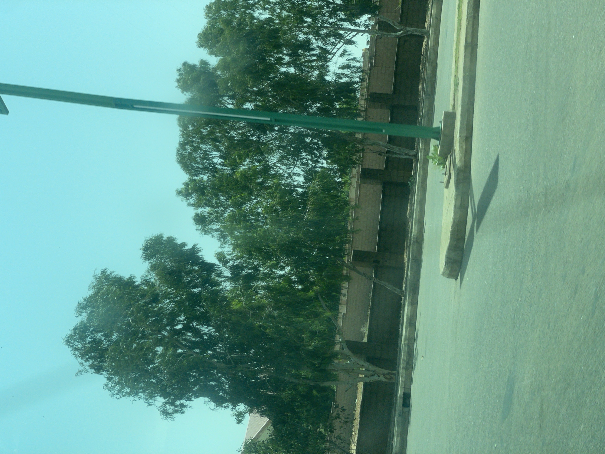 The image depicts a roadside scene in Tempure, Nigeria. A bright green lamppost stands prominently in the center, casting a shadow on the paved road and sidewalk. Tall, leafy trees line the background, partially obscuring a brick wall that appears to be the boundary of a property. The sky is a clear, pale blue. The overall impression is one of an urban or suburban environment with a focus on natural elements like trees.