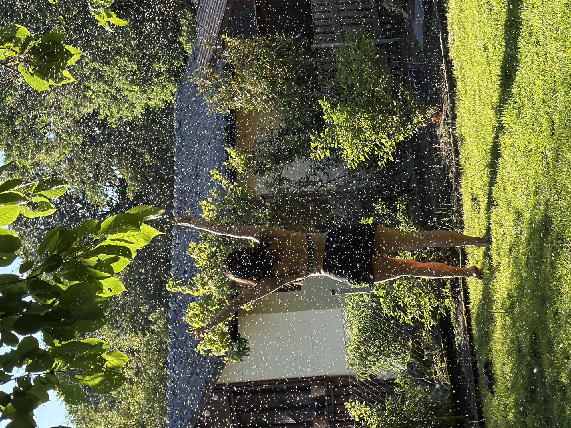 A person, wearing dark-colored shorts and an indeterminate top, stands in a yard with arms outstretched, as if in a yoga pose. The person is framed by green foliage on the left and bright green grass on the right. A chain-link fence divides the yard. A building is behind the person. The yard and the person are covered with what seems to be some kind of particles, perhaps insects or seeds, scattering in the sunlight. The location of the photo is not specified, and Nuremberg, Germany cannot be confirmed.