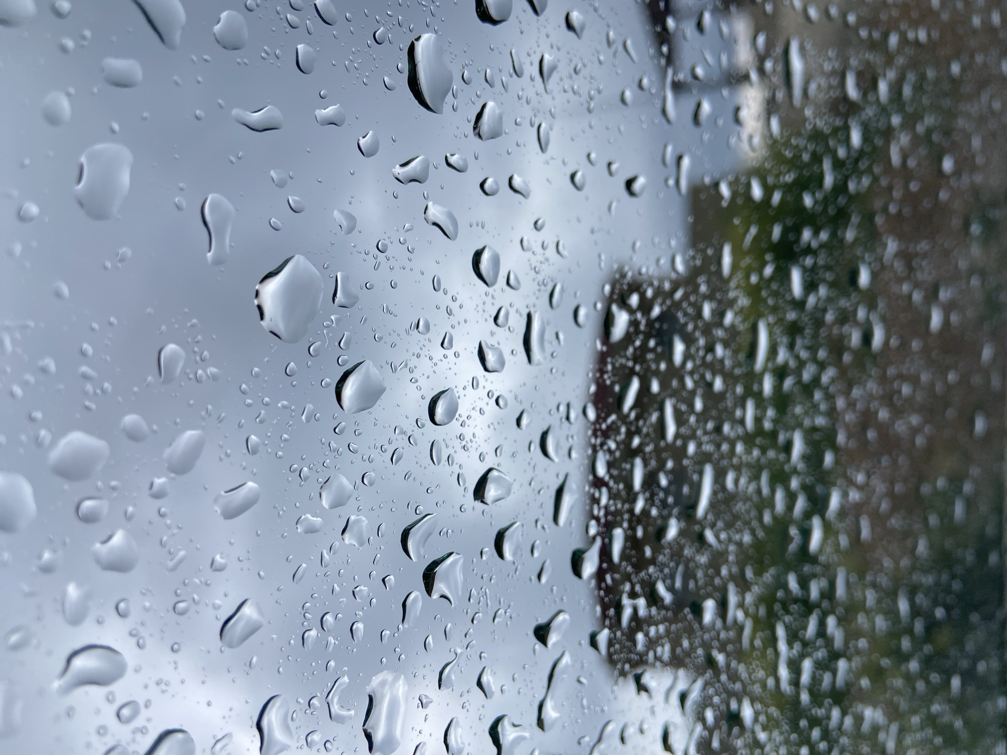 The image presents a close-up, high-angle view of numerous water droplets clinging to a transparent surface, most likely a window or glass panel. The raindrops vary in size and shape, from tiny spheres to larger, more irregular formations, many exhibiting distinct highlights and reflections from ambient light. Their presence indicates that it is currently raining or has recently rained.
The background beyond the wet glass is significantly out of focus, creating a soft, blurred effect. On the left side of the frame, the background appears as a light, uniform gray, suggesting an overcast or cloudy sky. Moving towards the right, the background darkens and shows indistinct blurs of green and brown, hinting at distant foliage, trees, or perhaps buildings. The sharp focus on the raindrops contrasts with the impressionistic quality of the background.
There are no people or specific, identifiable objects visible in the scene other than the water droplets and the implied glass surface. No particular activity is occurring other than the static state of the rain on the window. The weather is overcast and wet. The time of day appears to be daylight, given the overall illumination, though the lack of direct sunlight points to cloudy conditions. There is no visible text within the image. The location context provided is Prijevor, Montenegro.