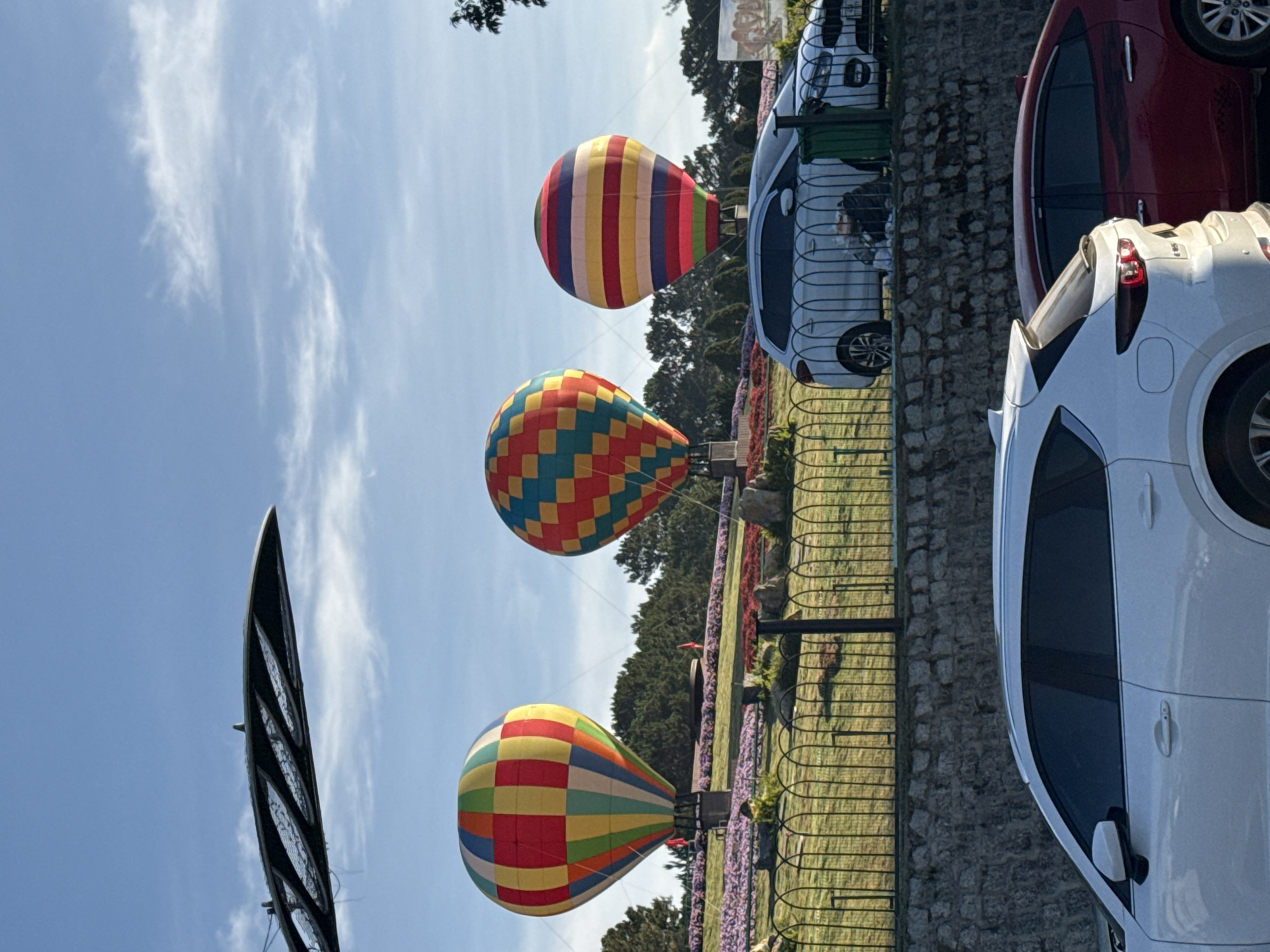 The image presents an outdoor scene, likely a landscaped garden or public park in Da Lat, Vietnam, under a bright blue sky with scattered wispy clouds. The main subjects are three large, colorful hot air balloon sculptures, serving as decorative elements. The balloon closest to the viewer displays a checkered pattern of red, blue, green, and yellow. The middle balloon also features a multicolored checkered design, while the furthest one is adorned with vertical stripes in shades of red, yellow, blue, green, and white.
These balloon decorations are situated within a vibrant garden area featuring green grass and rows of purple and pink flowers, with lush green trees in the background. A low stone wall and a black metal fence act as a divider, separating the garden from a paved road or parking lot on the right side of the frame. Several cars are parked parallel to this fence, including a white SUV in the foreground, a red sedan, and another white car further back. Although a faint reflection of a person can be seen in the window of one of the white cars, there are no clearly visible individuals actively interacting with the scene.
On the far left, a distinctive tall, black, fin-like structure, featuring a mesh pattern and multiple oval cut-outs, extends upwards towards the sky. The bright sunlight indicates a clear and pleasant daytime setting. No discernible text is visible within the image. The scene conveys a sense of leisure and beauty, characteristic of a well-maintained tourist attraction or public space.