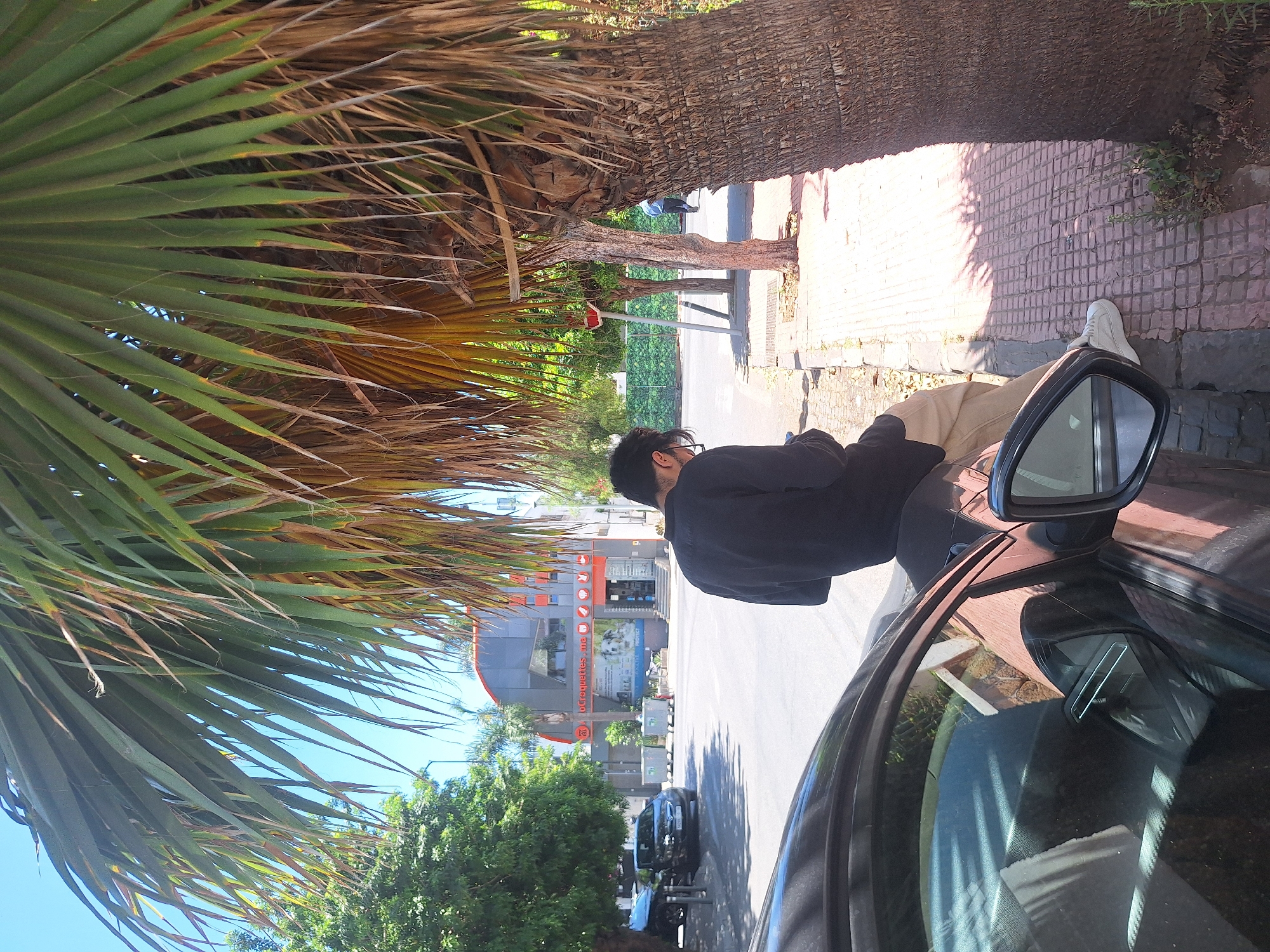 The image depicts an urban street scene on a bright, sunny day in Casablanca, Morocco, specifically at 38, Avenue Mohammed Sijilmassi.
In the immediate foreground, a dark-colored car is parked on the side of a paved road. A male individual, viewed from behind and the side, is seated on the rear bumper or trunk of this car. He is wearing a black long-sleeved top, light brown trousers, and white sneakers, and appears to be looking down, possibly at a handheld device. His face is obscured.
To the right, a large palm tree occupies a significant portion of the frame, its fronds casting shadows on the reddish-brown interlocking tiled sidewalk. Further down the sidewalk, the trunk of another, smaller tree is visible. The street, paved with asphalt, recedes into the background. On the left side of the street, another dark-colored car is parked. Two grey, rectangular garbage bins are positioned near the left sidewalk.
Across the street, a modern, multi-story commercial building with a distinctive grey facade and orange architectural accents is prominently visible. The building features large windows and bears signage for "loCroquettes.ma," a pet food and supply store, with images of a dog and a cat, and additional text reading "CROQUETTES PROTECT." The ".ma" domain confirms the Moroccan location. In the far background, a person is walking away on the opposite side of the street. The scene is characterized by abundant green foliage from various trees and a clear blue sky.