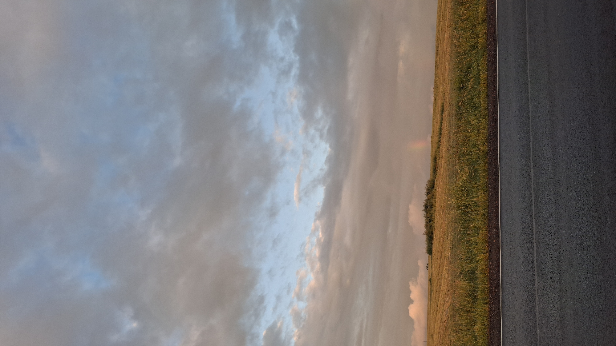 The image depicts a vast, overcast sky with a mix of gray, pink, and blue clouds. In the distance, a field of golden grass stretches across the horizon, with a small cluster of green trees or bushes in the center. A faint rainbow is visible in the upper right quadrant of the field. In the foreground, a dark asphalt road runs horizontally across the bottom of the frame, with a thin white line marking its edge. The scene is tranquil and appears to be located in an open, rural area, possibly the city of Kaporskoe, Russia, given the context. There are no people or animals visible in the image.