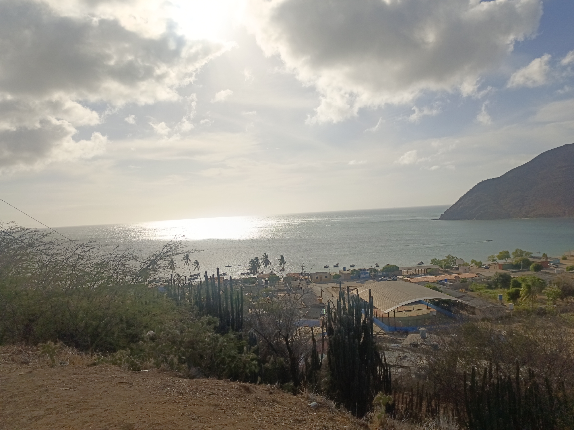 The image depicts a coastal view overlooking the city of Juan Griego in Venezuela. The scene is captured from a slightly elevated vantage point, with arid vegetation in the foreground, including cacti and low-lying bushes.
In the middle ground, there is a view of the town, including buildings, infrastructure such as a large, arched roof structure, streets, and palm trees. Several boats are visible in the bay.
The background features the Caribbean Sea, reflecting the sunlight, and a landmass or headland extending into the water, presumably part of the Venezuelan coastline. The sky is overcast with clouds.