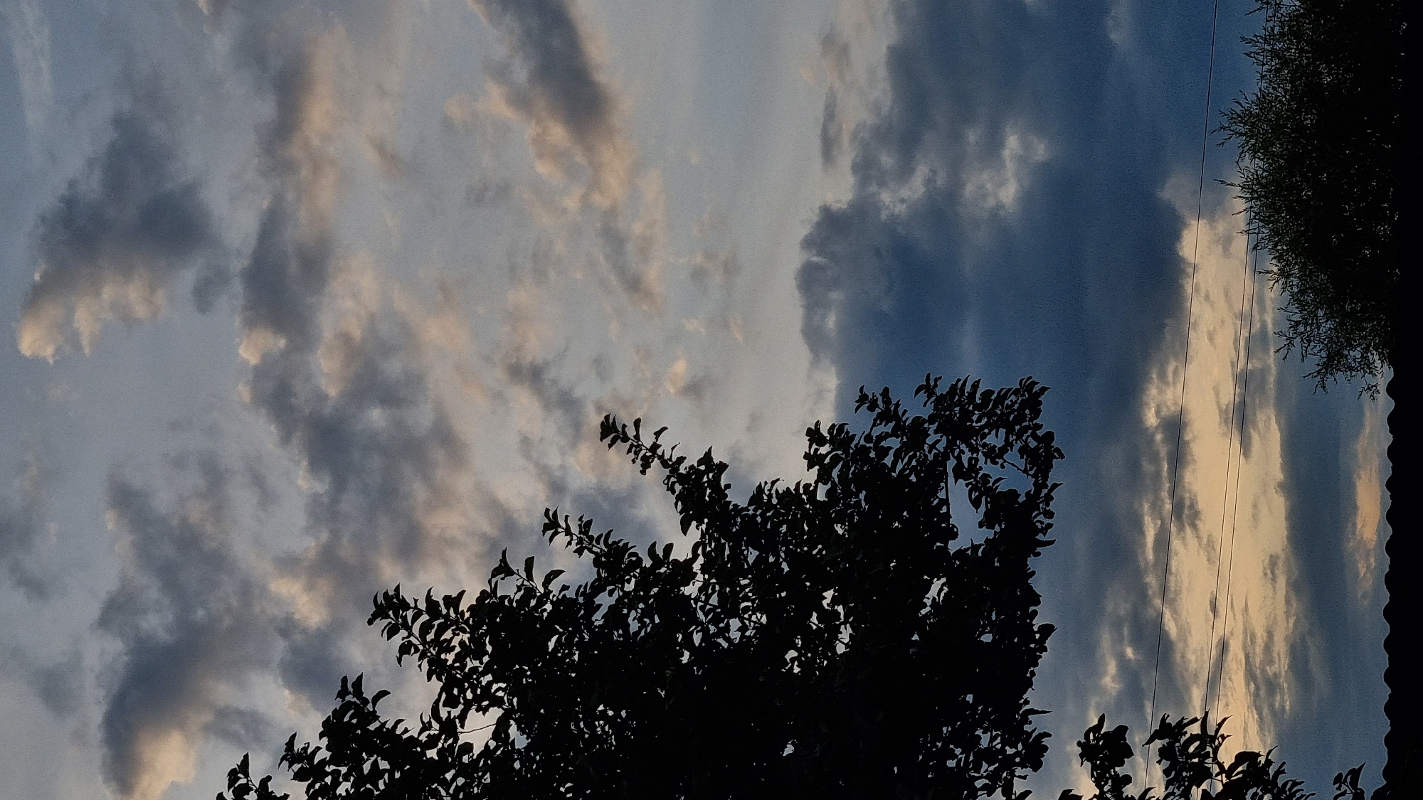 The image depicts a sky with scattered clouds during twilight. On the left side, a silhouette of a tree with dense foliage extends into the frame from the top left corner. The clouds are a mix of dark grey and lighter shades of white and yellow, indicating the last rays of sunlight. In the lower portion of the image, a dark silhouette of a roofline is visible, along with a few branches of another tree and thin power lines stretched across the scene. The overall impression is of a natural landscape at dusk. This scene was captured in Vysokoe, Russia. There are no people or specific actions depicted in the image.