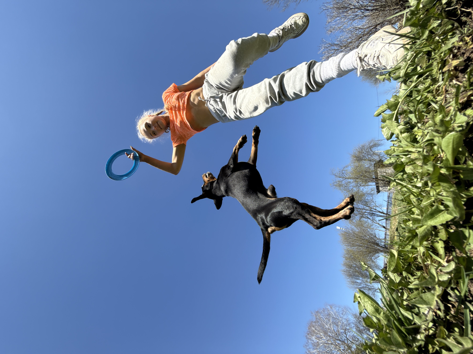A low-angle shot taken in Nizhnyaya Chermoda, Russia, shows a woman and a dog against a clear blue sky. The woman is fair-skinned with blonde hair, wearing an orange shirt, grey sweatpants, white socks, and white sneakers. She is holding a blue ring in her right hand. The dog, a black and tan breed, is captured mid-air, jumping towards the ring. The ground is visible in the upper-right corner of the frame, showing grass and some plants. Trees are in the background.