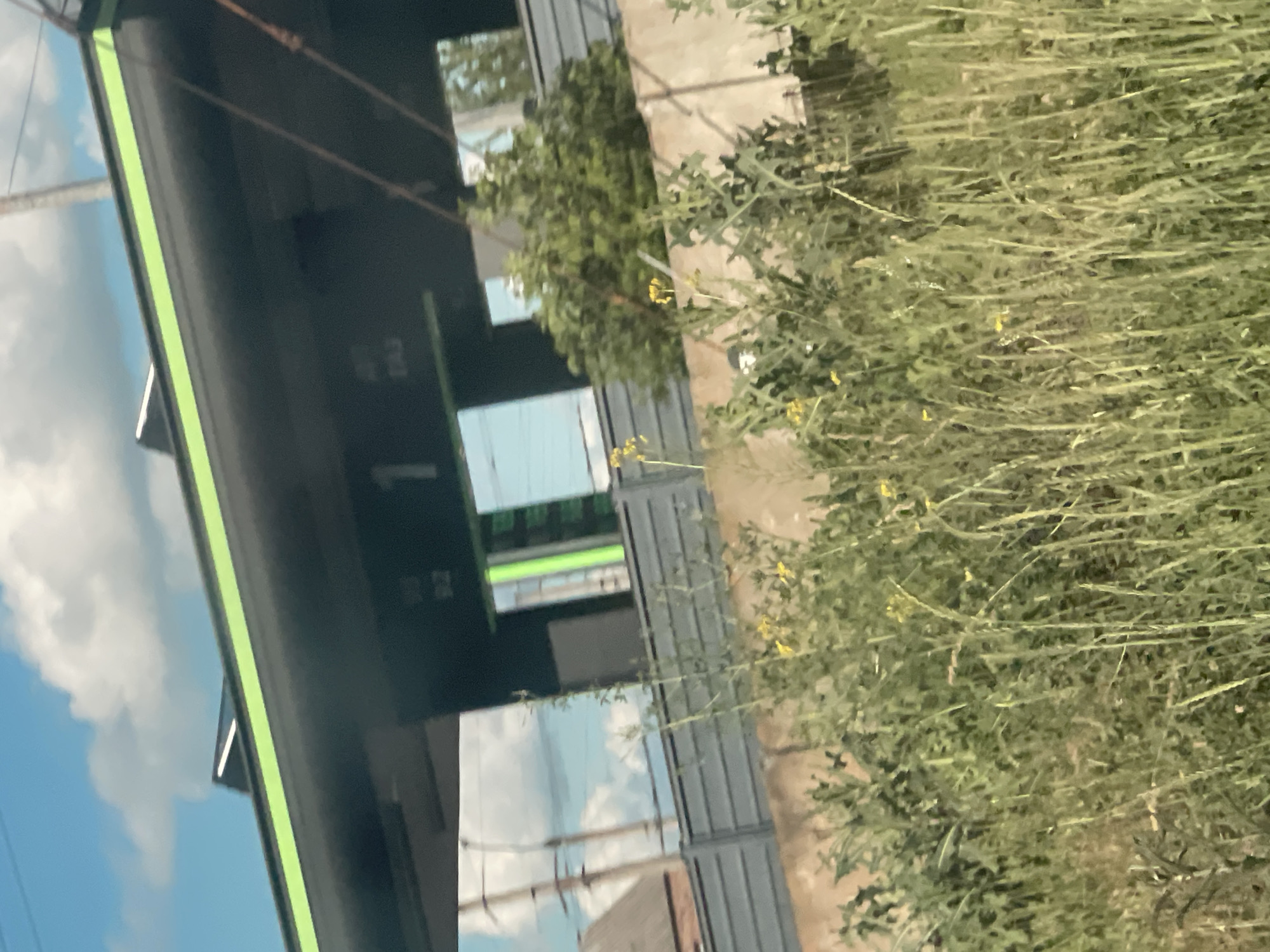 The image shows a section of a modern building with a dark facade and a bright green trim along the roofline. The building has large reflective windows that show a cloudy blue sky. On the facade of the building, the number "1" is prominently displayed in white, and to its right, some text in what appears to be Cyrillic script is visible. In front of the building, there is a concrete barrier or wall, and beyond that, tall green grass and yellow wildflowers are growing. The overall impression is that of a service station or a similar public facility, possibly located in an outdoor setting. The location of Poltava, Ukraine, is not discernible from the image itself without external information.