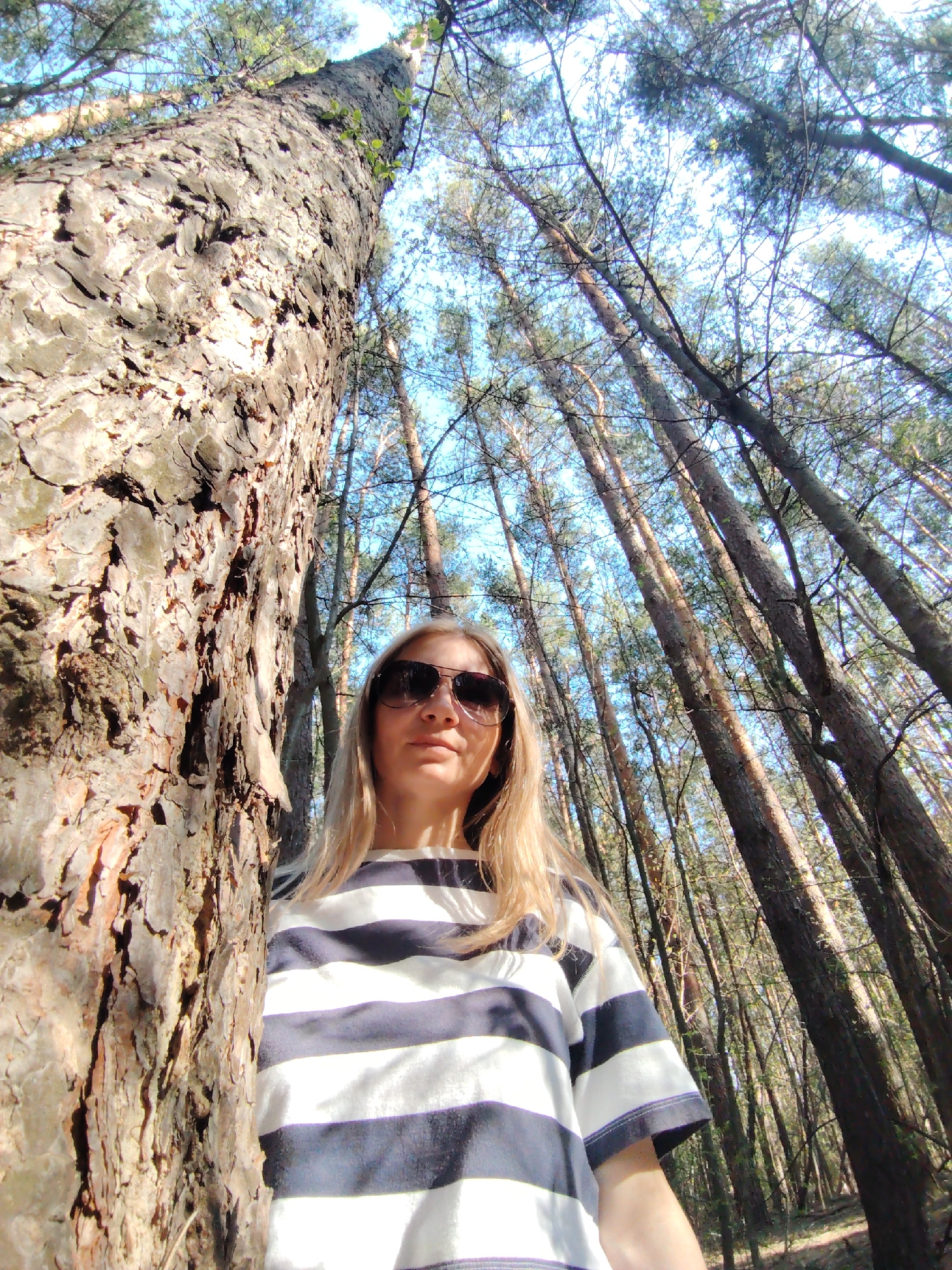 A woman wearing a striped shirt and sunglasses stands in a forest, leaning against a large tree. The trees are tall and thin, with their trunks rising up towards the sky. The sky is visible through the branches, and appears to be a light blue color. The location is the city of Chaikovsky, Russia.