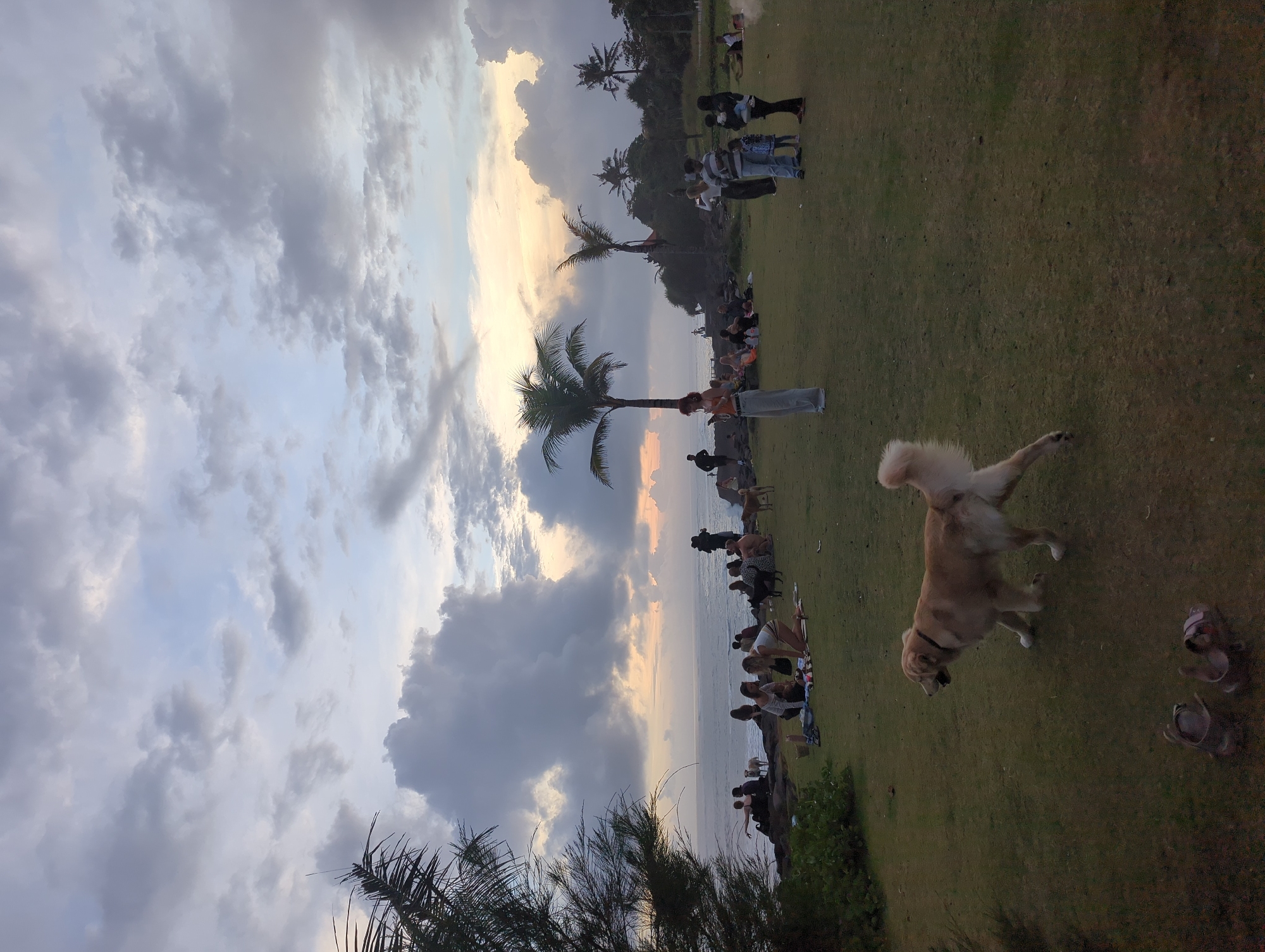 The photograph shows a grassy area near a coastline in Mengwi, Indonesia. The sky is filled with clouds, and the sun is setting on the horizon. A group of people is gathered near the shore. A dog is running on the grass. Palm trees are scattered throughout the landscape.