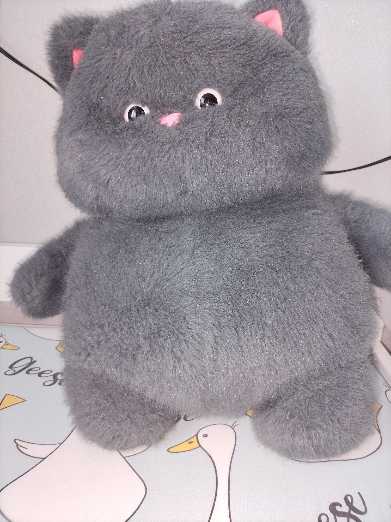 This media file is a close-up, eye-level photograph of a gray, fluffy stuffed cat toy. The cat has large, round, black eyes with white pupils and a small, pink nose. Its ears are also pink. The toy is positioned in the center of the frame, facing the viewer directly. The background is light and appears to be a wall or surface with a faint texture.
Beneath the stuffed cat, a patterned surface is visible. This pattern includes stylized drawings of ducks in profile, with yellow beaks and white bodies, against a light blue background. There is also some text visible on this surface. The words "Gees" are clearly legible in a cursive font, and a partial word that appears to be "eese" is also visible. The overall impression is a playful and soft aesthetic. The lighting suggests an indoor setting, likely with artificial light, as there are no strong shadows or indications of natural light sources. The image appears to be a still shot, with no action taking place other than the static pose of the toy. The emotion conveyed is one of cuteness and perhaps nostalgia, given the nature of the object.