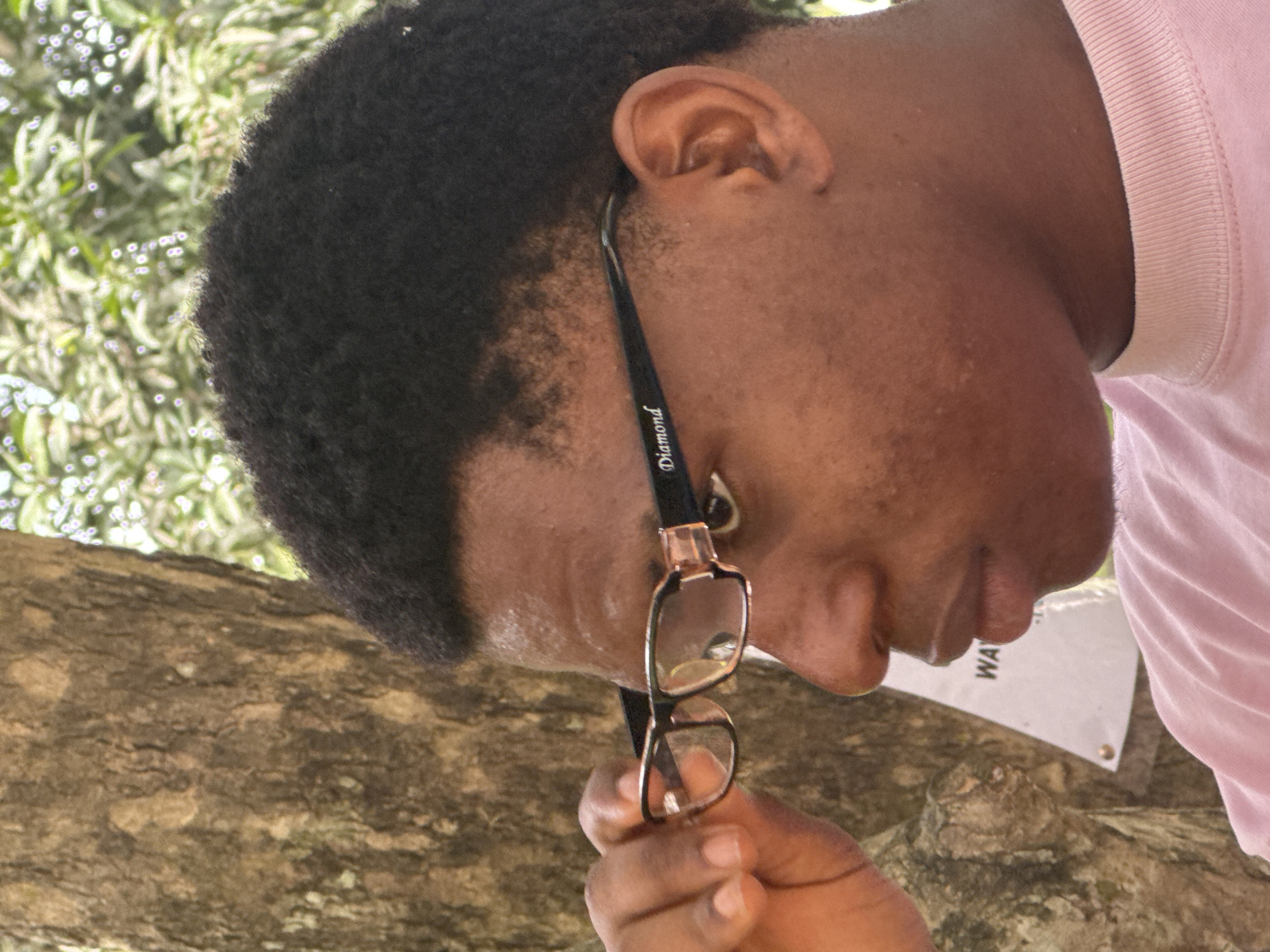 A medium close-up shot captures a young Black male, seen from the chest up, with his head turned to the right and his gaze directed forward. He is wearing eyeglasses with black frames and clear lenses, and he is holding the left temple of the glasses with his left hand, adjusting them. The glasses have "Diamond" inscribed in white on the left temple. He has short, dark, curly hair and his skin is a dark brown tone. A subtle pink shirt with a ribbed neckline is visible around his neck and shoulders. Behind him, a large tree trunk with rough bark occupies the left side of the frame. To the right of the tree, out-of-focus green foliage suggests an outdoor setting. A white sign with black lettering, partially obscured, is attached to the tree trunk, with the visible text reading "WA...". The lighting is natural, indicating it is daytime. The image appears to have been taken in Ihiagwa, Nigeria, given the context of the location.