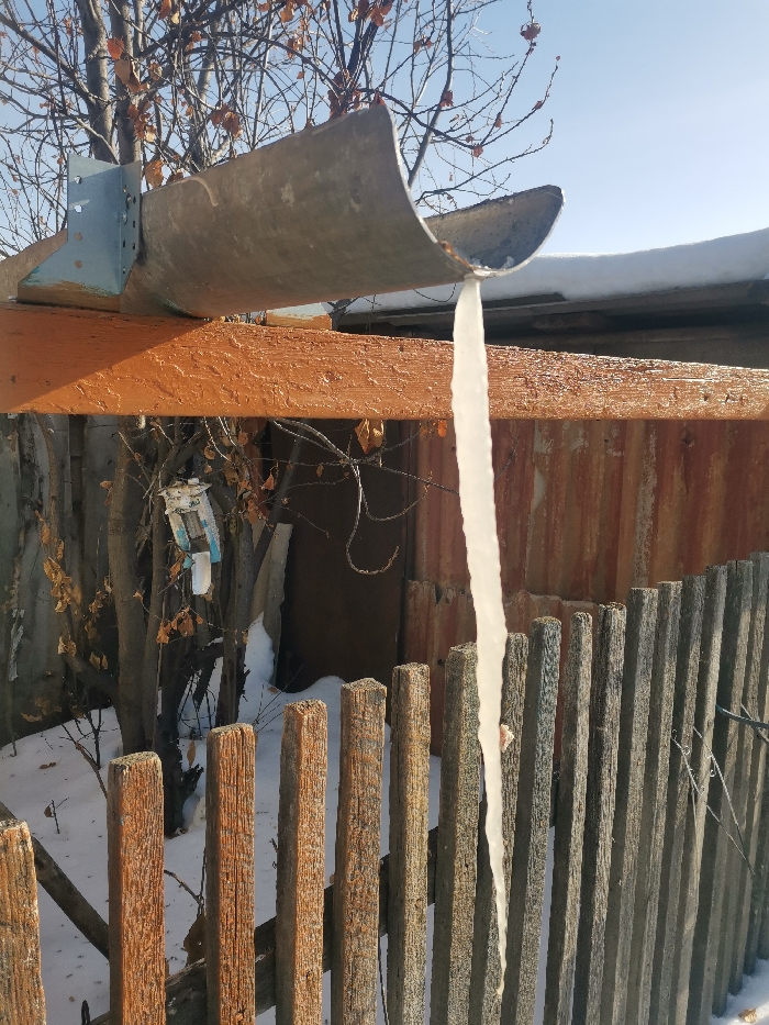 A vertical, thick icicle is the prominent feature in the center of the image, hanging downwards. It originates from a curved, metallic, trough-like structure that appears to be a makeshift gutter or drainage channel. This metal channel is attached to a horizontally positioned wooden beam, painted in a faded, orange-brown color, using a silver-colored metal bracket on the left side.
Above the wooden beam and the metal channel, bare tree branches with a few dried, brown leaves are visible against a bright, clear blue sky, suggesting a sunny winter day. Some snow is visible on the top of the curved metal structure and on what appears to be a roof just behind it to the right.
Below the orange wooden beam, the background reveals more bare tree branches, tangled wires or vines, and some debris, including what looks like a crumpled white and blue plastic object hanging among the branches on the left. The ground in this area is covered in snow. To the right, behind the icicle, there is a weathered and rusted corrugated metal fence or wall.
In the foreground and midground, a wooden picket fence runs horizontally across the bottom half of the image. The fence posts are old, weathered, and vary in color from light brown to gray, with visible wood grain and some signs of age. The icicle hangs down past the top of this fence, almost reaching the snow-covered ground behind it. The snow on the ground is uneven, showing slight dips and rises.
The overall scene depicts a chilly, sunny winter day in an outdoor area, possibly a backyard or a side area of a building, characterized by rustic and somewhat aged structures. There are no people visible, and no discernible text.