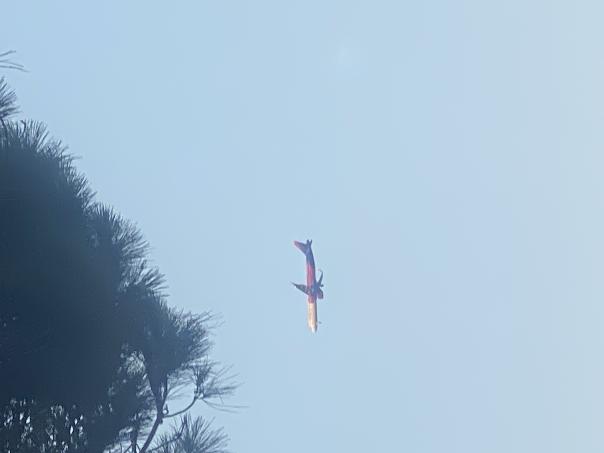 A commercial airplane is visible in a clear blue sky, flying horizontally. The airplane has a multi-colored fuselage, with sections of red, yellow, and dark blue. The wings are outstretched, and the tail fin is also visible. In the upper left portion of the image, a dark silhouette of tree branches and needles partially obscures the sky, suggesting the photo was taken from a location with overhead foliage. The scene appears to be outdoors in a location that is likely near an airport, given the presence of a commercial aircraft. There is no specific information in the image to indicate the exact city of Antibes, France.