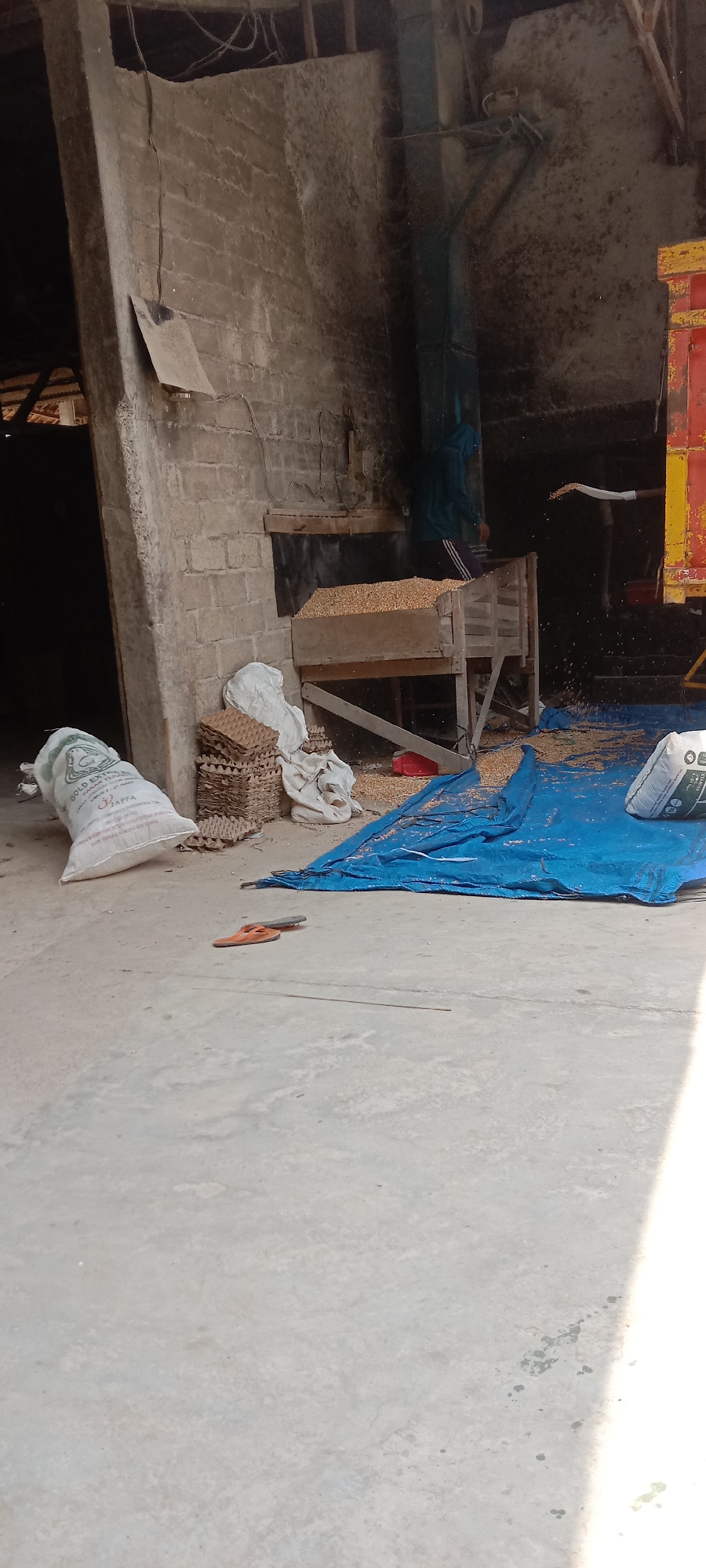 The image depicts an outdoor scene at a facility in Utama Jaya Mataram, Indonesia, likely involved in agricultural processing or storage. The foreground shows a concrete floor with some debris, including a pair of orange flip-flops. To the left, a large white sack with green lettering is visible. Behind it are stacks of cardboard egg cartons and a crumpled white tarp. A blue tarp is spread out in the middle ground, partially covered with loose grain and a white sack. In the background, a wooden structure filled with grain is supported by wooden beams. A conveyor belt system is visible above this structure, and to the right, the side of a yellow and red vehicle, possibly a truck, is partially visible. A person wearing a blue hooded jacket is standing near the conveyor belt, and another person's arm is extending from the truck, seemingly in the process of dispensing grain. The environment appears somewhat industrial or utilitarian, with rough brick walls and exposed wooden structures.