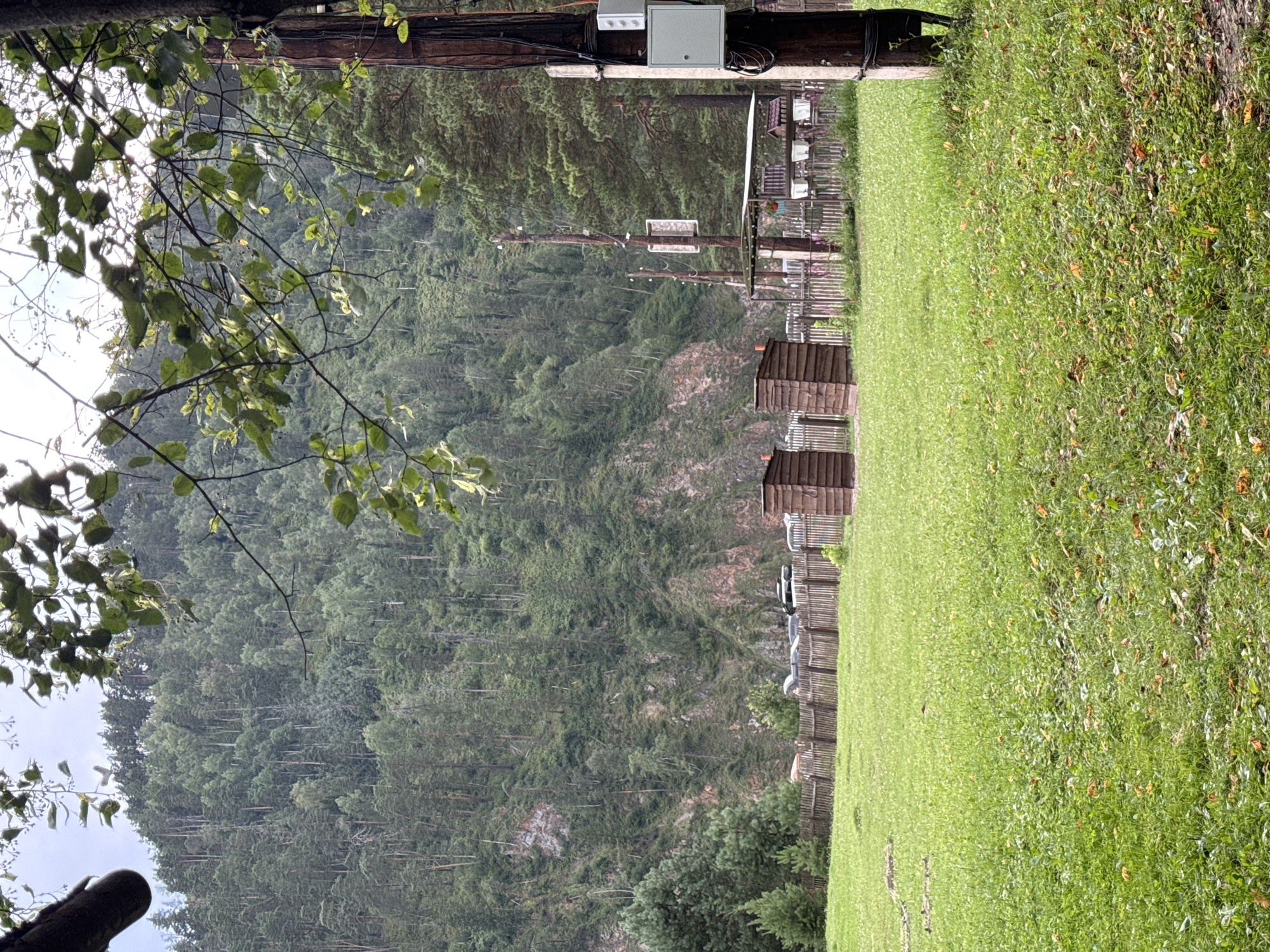 A vertical medium shot captures a grassy clearing with a wooden fence in the mid-ground, and a densely forested mountainside in the background. The clearing is covered in green grass with scattered fallen leaves. A rustic wooden fence stretches across the mid-ground, dividing the grassy area from what appears to be a small settlement. Behind the fence, two small, wooden outhouse-like structures are visible. Further back, several vehicles are parked. A utility pole with electrical equipment is prominently featured on the right side of the frame. The background is dominated by a steep mountainside covered in a thick, dark green forest. The sky is overcast. The scene is situated in the vicinity of Ust-Mana, Russia, a location known for its natural beauty and mountainous terrain.