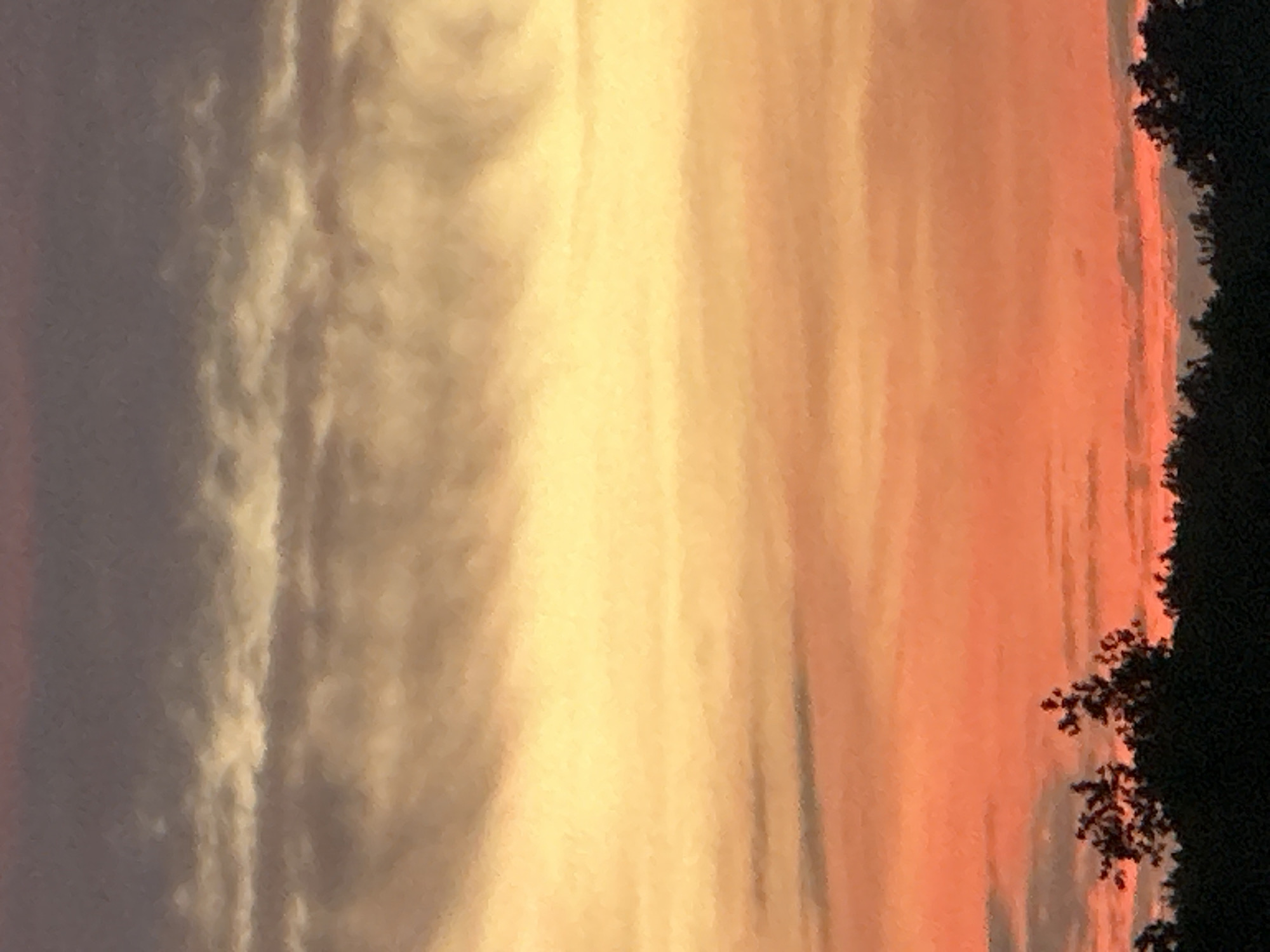The image depicts a sky at sunset, with prominent streaks of color ranging from gray/white to yellow to orange/red. Silhouetted tree branches are visible on the right side of the frame. The sky has vertical bands or streaks of color. There's no information available to determine the location in the city of Nizhny Novgorod, Russia.