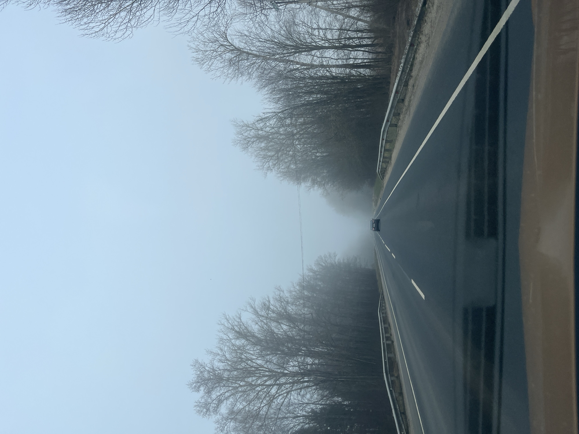The image depicts a two-lane asphalt road stretching into the distance, disappearing into dense fog. Bare trees line both sides of the road, adding to the somber, muted color palette dominated by grays and blues. A guardrail is visible on the right side of the road. A dark car is visible in the distance. The location is Ширяево, Russia.