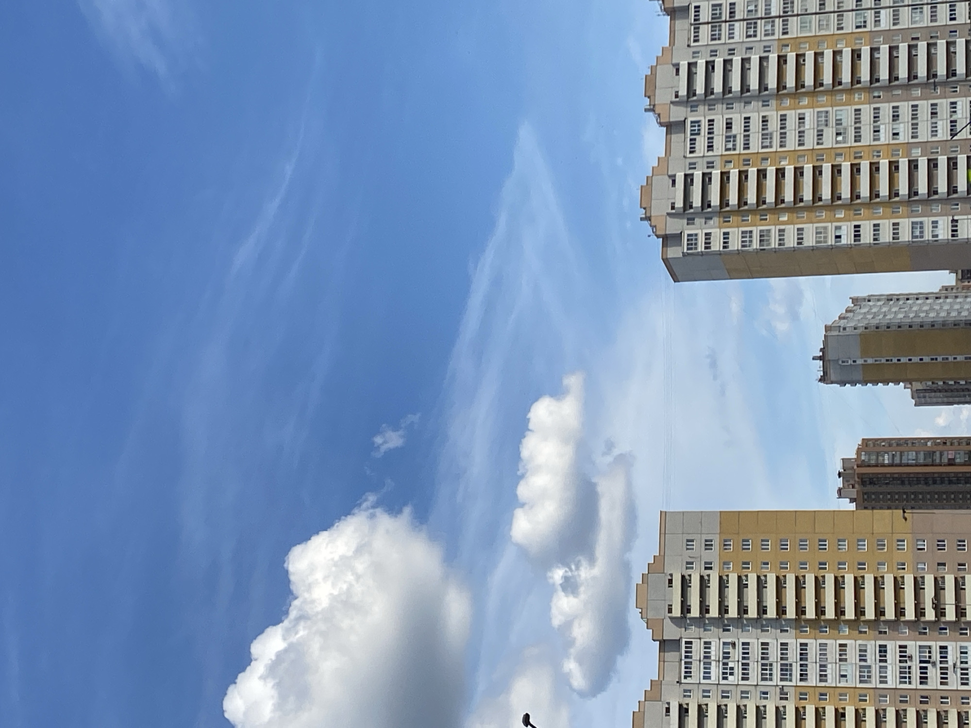 The image displays a clear blue sky above a residential area, characteristic of urban developments in Saint Petersburg, Russia. Two prominent multi-story apartment buildings dominate the lower half of the frame. These buildings feature facades divided into vertical sections of light grey/beige and yellow/gold, with numerous rectangular windows and balconies. The rooflines exhibit a distinct stepped, geometric design.
The building on the left, slightly closer to the viewer, shows a complex pattern of enclosed and open balconies. A dark, curved object, likely the top of a street lamp, is partially visible at the far left edge, extending into the sky. Between the two main buildings, a smaller, darker brown-toned residential building is visible in the middle ground, with additional similar structures further in the background. Two thin, dark horizontal lines, consistent with utility wires, traverse the mid-sky between the upper sections of the two prominent buildings.
The upper portion of the image is filled with a bright blue sky. On the left, a large, fluffy white cumulus cloud is prominent, with smaller cumulus clouds scattered towards the center. The right side of the sky features thinner, wispy clouds. No people or discernible activities are depicted.