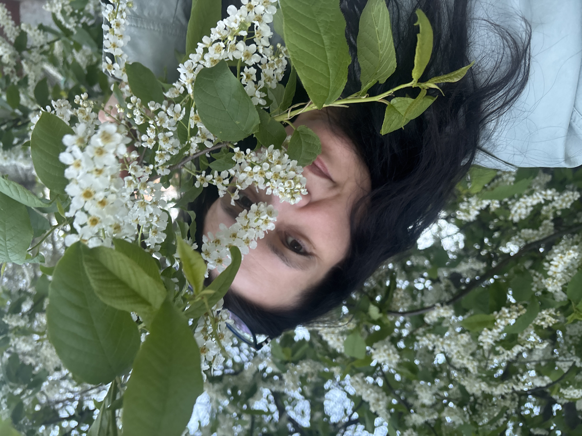 A woman with dark hair is lying beneath a tree with white blossoms. The location is likely Chaikovsky, Russia. The woman is looking up at the camera, partially obscured by the flowers and leaves. She is wearing a light-colored jacket. The tree is in full bloom.