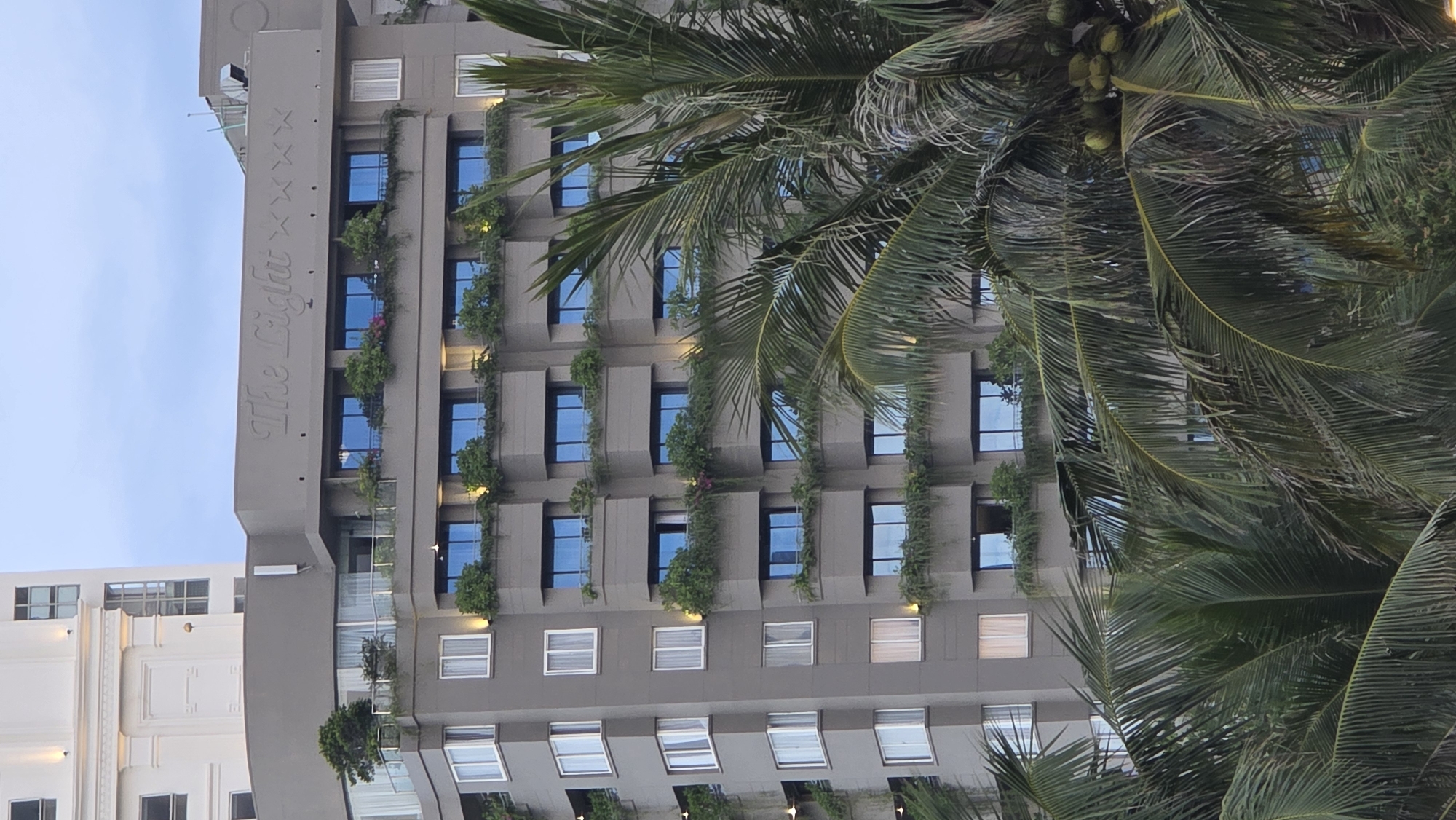 A modern, multi-story building, likely a hotel or apartment complex, stands prominently under a clear, light blue sky. The building, oriented vertically in the actual scene, features a grey facade adorned with numerous rectangular windows. Many of the windows reflect the sky or interior light with a blue hue. A distinctive architectural element is the integration of lush green plants in planters or on balconies across multiple levels, creating a "green building" aesthetic. Small pink or purple flowers are visible among the foliage in some sections.
On the upper part of the building, the name "The Light" is displayed in a stylized script, followed by five star symbols, strongly suggesting it is a five-star establishment named "The Light Hotel" or similar.
A large, vibrant green palm tree dominates the right side of the frame, with its fronds extending across and partially obscuring the building. Clusters of coconuts or similar tropical fruit are visible hanging from the palm. Additional palm foliage is present in the lower right.
In the background on the left, a portion of another building with lighter, possibly white or cream-colored walls and more traditional windows is visible. The time of day appears to be daytime, with fair weather indicated by the clear sky. The presence of palm trees and the style of architecture are consistent with a tropical urban environment, specifically Nha Trang, Vietnam. No people or specific activities are depicted in the static scene.
