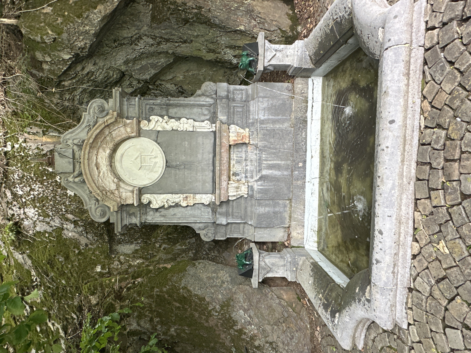 A stone fountain, set against a moss-covered rocky cliff face, is depicted in this frontal, medium shot. The fountain features a decorative stone structure with a circular relief at the top, flanked by ornate carvings. Water spouts from two points in the central structure into a rectangular basin. On either side of the fountain's base, two small, green frog statues sit atop stone pedestals. The basin is filled with murky, green water and is surrounded by a cobblestone path. The environment appears to be outdoors, with vegetation visible in the upper left corner. The image was taken in the city of Spa, Belgium, and is a close-up of the source of the Thermes de Spa.