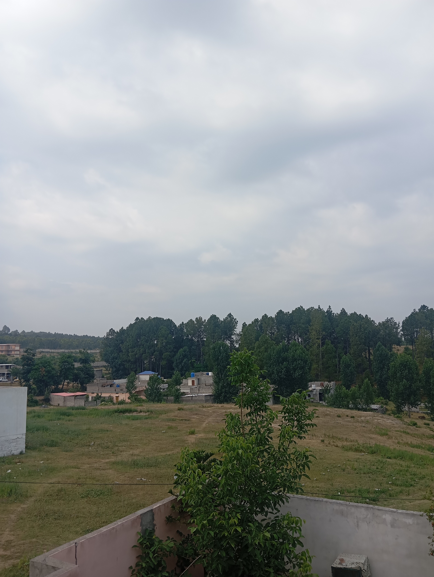 The image depicts a slightly overcast sky over a rural landscape near Lassan, Pakistan. In the foreground, a portion of a building's concrete wall is visible, with a tree growing from it. Beyond the wall, a dry, grassy field stretches towards a cluster of buildings and a dense forest of pine trees in the middle ground. The buildings appear to be of varied construction, some with brickwork and others with more modern materials. The forest is dense and covers the rolling hills in the background. The overall scene suggests a semi-urban or rural environment characterized by natural vegetation and scattered human settlements.
