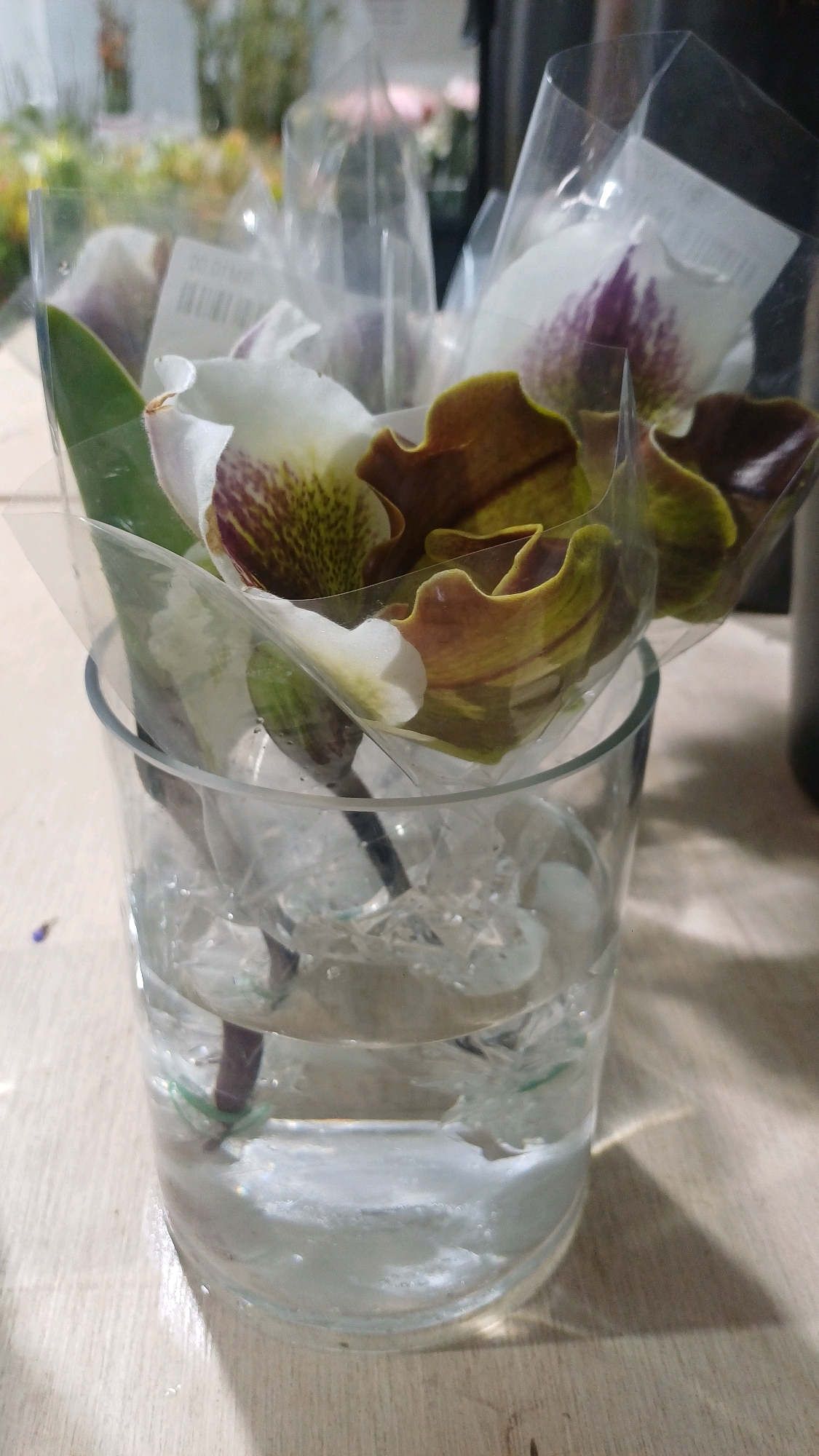 A close-up, eye-level shot shows two orchid flowers in a clear glass of water. The flowers are white with purple and yellow markings, and they are wrapped in clear plastic. The glass sits on a light-colored wooden surface, and the background is blurred, showing hints of other flowers and plants. The lighting is soft, casting a gentle shadow on the surface. There are no people visible in the image. The location is not identifiable within Kuala Lumpur, Malaysia.
