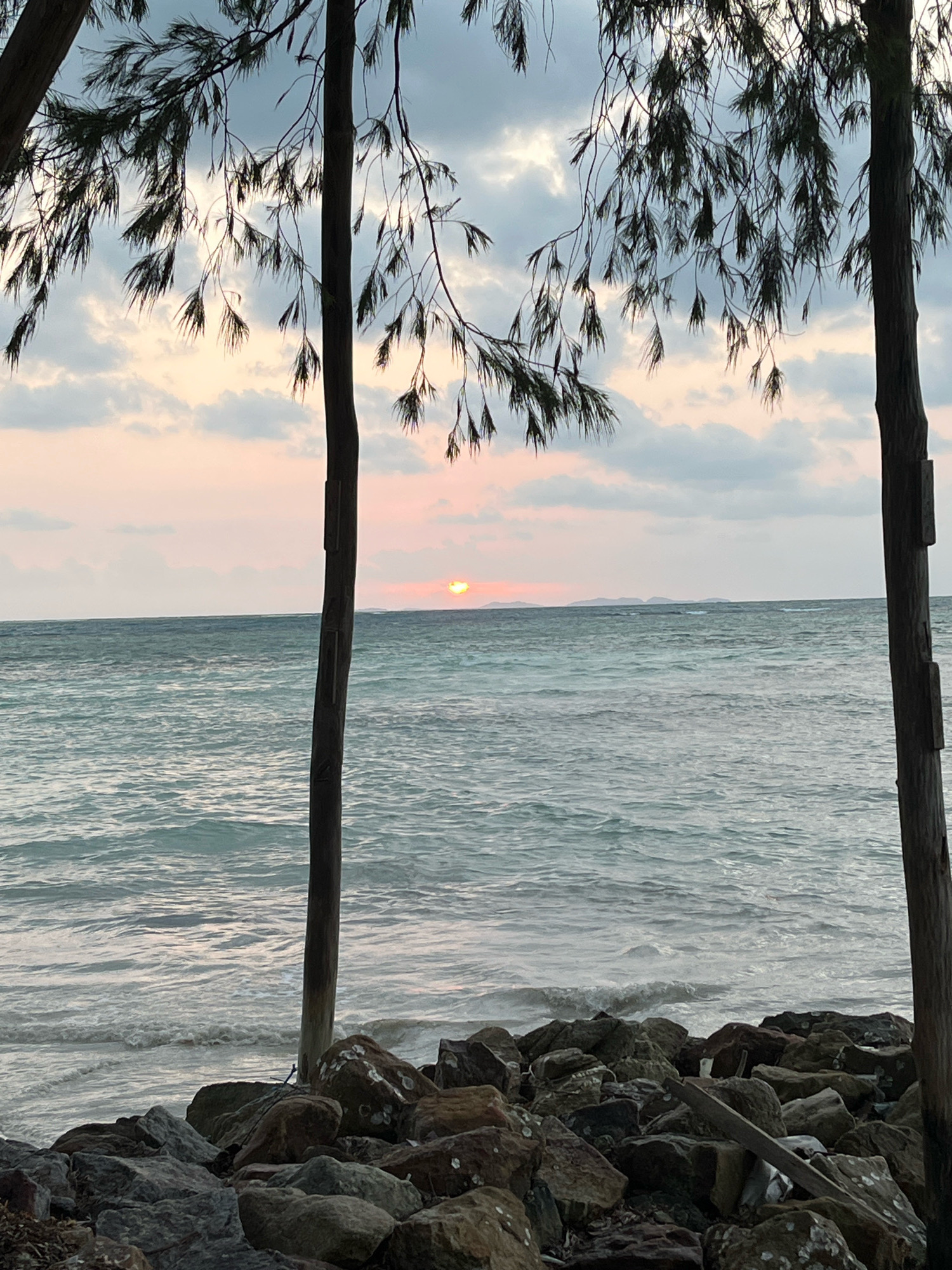 This is a photograph of a beach scene in Karimunjawa, Indonesia, at sunset. Two silhouetted trees frame the view of the ocean. The water is a muted turquoise, with small waves lapping against a rocky shore in the foreground. In the distance, the sun is setting, casting a warm orange glow through the scattered clouds. The sky transitions from a soft pink to a pale grey. The trees are dark and slender, with thin, feathery leaves that hang down, creating a delicate canopy. The rocks on the shore are varied in size and color, some covered in white barnacles. The overall mood is tranquil and serene.