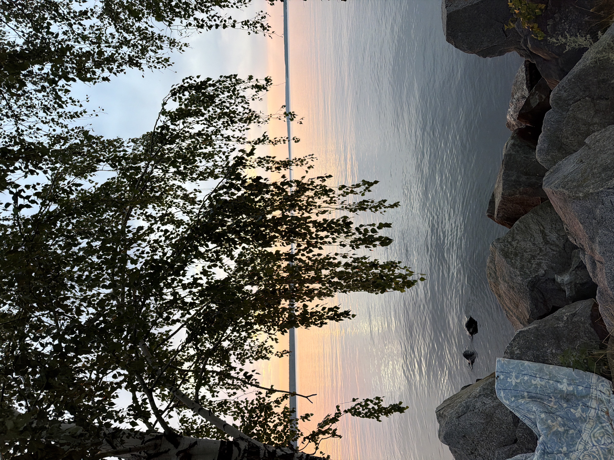 The image depicts a serene natural landscape at dusk, likely near the city of Zarechny, Russia, given the context. In the foreground, large, weathered rocks line the shore of a calm body of water, which appears to be a river or a lake. A light blue blanket with a white patterned design is draped over some of the rocks on the left side of the frame. Two dark, submerged rocks are visible just beneath the water's surface, creating ripples. Overhanging branches of a birch tree, laden with green leaves, frame the upper portion of the image, casting shadows and obscuring parts of the sky. The sky itself is a gradient of soft pastel colors, transitioning from a pale orange near the horizon to a light blue higher up, indicating the presence of the setting sun. The water reflects these colors, creating a peaceful and tranquil atmosphere.