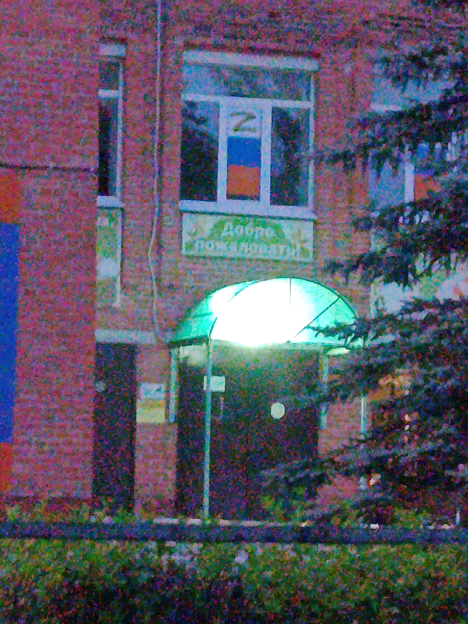 The image depicts the exterior of a building, likely an institution or public facility, in the city of Verеya, Russia. The building's facade is constructed with reddish-brown brick. A prominent feature is a window with a white frame, containing a Russian flag pattern and what appears to be the letter "Z" overlaid. Below this window, a green awning is illuminated by a bright light source, casting a glow. Text is visible on a sign beneath the awning, partially obscured by the awning's structure and the image's resolution, but the words "Добро пожаловать" (Welcome) are decipherable. A dark doorway is situated beneath the awning. To the right of the entrance, a portion of a dark, leafy tree is visible, partially obscuring the building. In the foreground, a strip of greenery, possibly a hedge or bushes, runs horizontally across the frame. The overall scene suggests an entrance area to a building, likely in an urban or semi-urban setting, possibly during twilight or at night due to the artificial lighting.