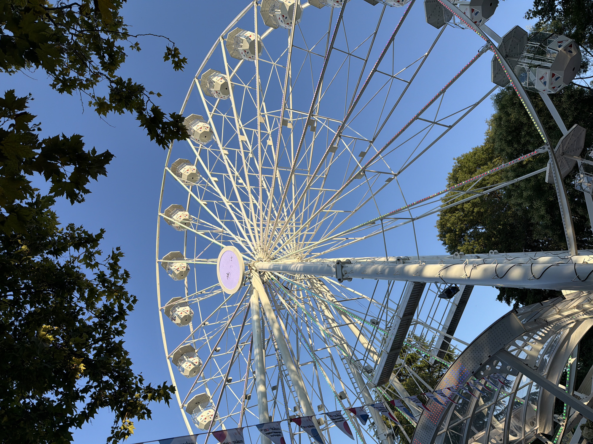 This is a low-angle, wide shot of a white Ferris wheel against a clear blue sky. The Ferris wheel is large and circular, with numerous white spokes extending from a central hub. Suspended from the outer rim are numerous white gondolas, each with a hexagonal roof and windows. Some of the gondolas have red and blue triangular patterns on their sides. Strings of colorful lights, primarily green and pink, are visible along some of the spokes and structures of the Ferris wheel.
In the foreground and framing the top of the image are dark green leaves and branches of trees. Below the Ferris wheel, parts of the loading area and other park structures are visible, including metal walkways and curved glass enclosures.
This Ferris wheel is located at the Seaside Park (Morska gradina) in Burgas, Bulgaria. There are no people visible in the image. The scene captures a bright, sunny day, with the Ferris wheel appearing to be stationary or slowly rotating.