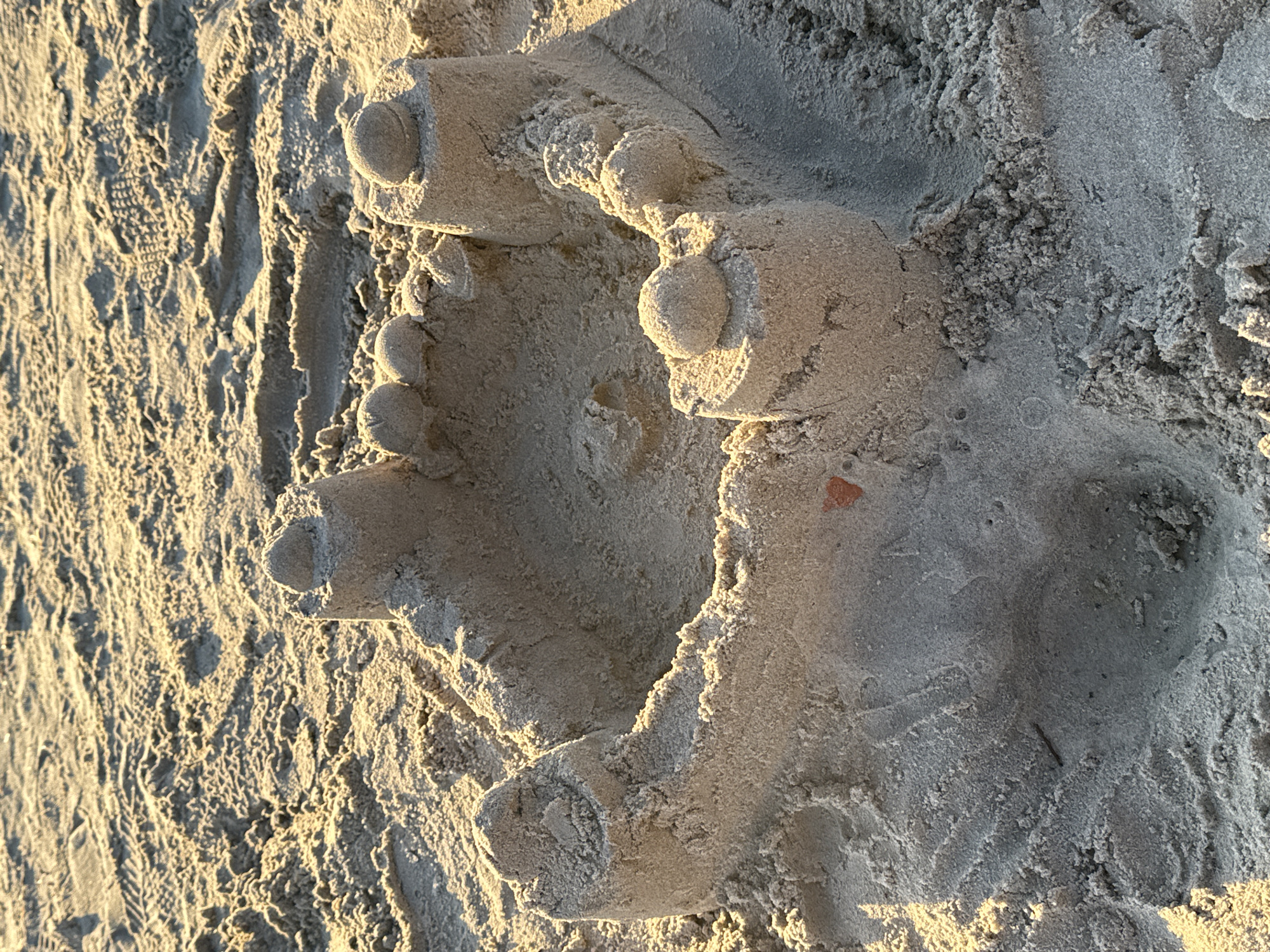 A sandcastle is centrally located on a sandy beach. The sandcastle is circular in shape with several towers and a small moat. The sand is damp and textured, with some footprints visible in the background. The lighting suggests it is either early morning or late afternoon, with warm sunlight casting long shadows. The image does not provide any information about the city of Tallinn, Estonia, or any people.