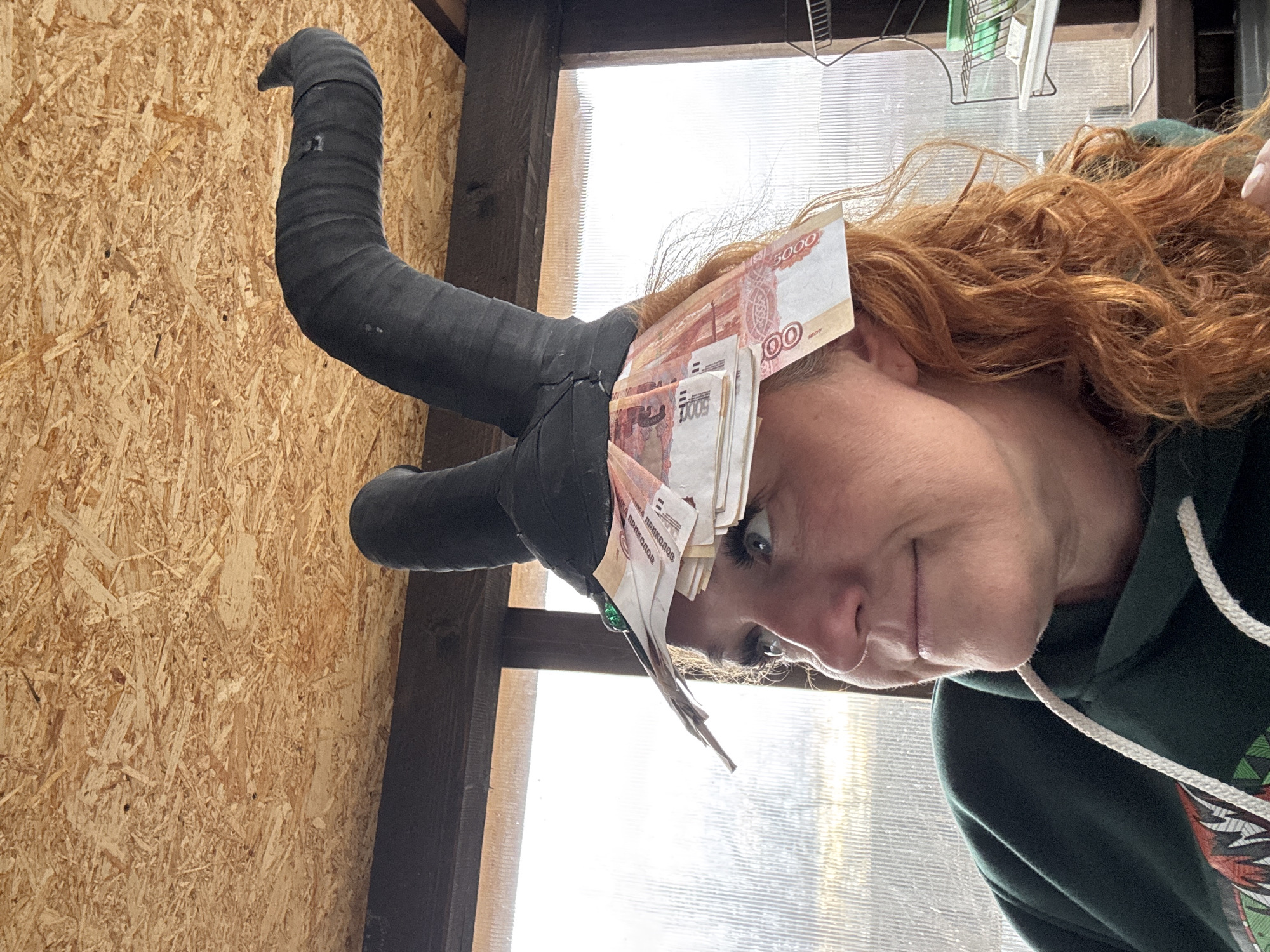 A medium shot captures a woman with reddish-brown, wavy hair and blue eyes, wearing a dark green hooded sweatshirt, looking towards the camera. She is adorned with a unique headpiece featuring two dark, horn-like objects, possibly wrapped in black tape or fabric, emerging from the side of her head. Several Russian 5000-ruble banknotes are tucked into these horns and around her temple. A closer look at the banknotes reveals the text "БАНКА ПРИКОЛОВ" (Bank of Jokes/Novelty Bank), indicating they are novelty items rather than genuine currency. A small green, decorative element, possibly a gem or clip, is also visible near the banknotes on her left temple.
The woman has a neutral to slightly amused expression, with a subtle smile. The setting appears to be an indoor or semi-enclosed space, possibly a shed or greenhouse, as suggested by the oriented strand board (OSB) wall on the left, a wooden beam, and a translucent, ribbed panel in the background that provides bright, diffused natural light. A faint outline of a metal rack can be seen through the translucent panel in the upper right. The bright lighting indicates it is daytime. The image appears to be a posed photograph, possibly for a humorous or costumed occasion.