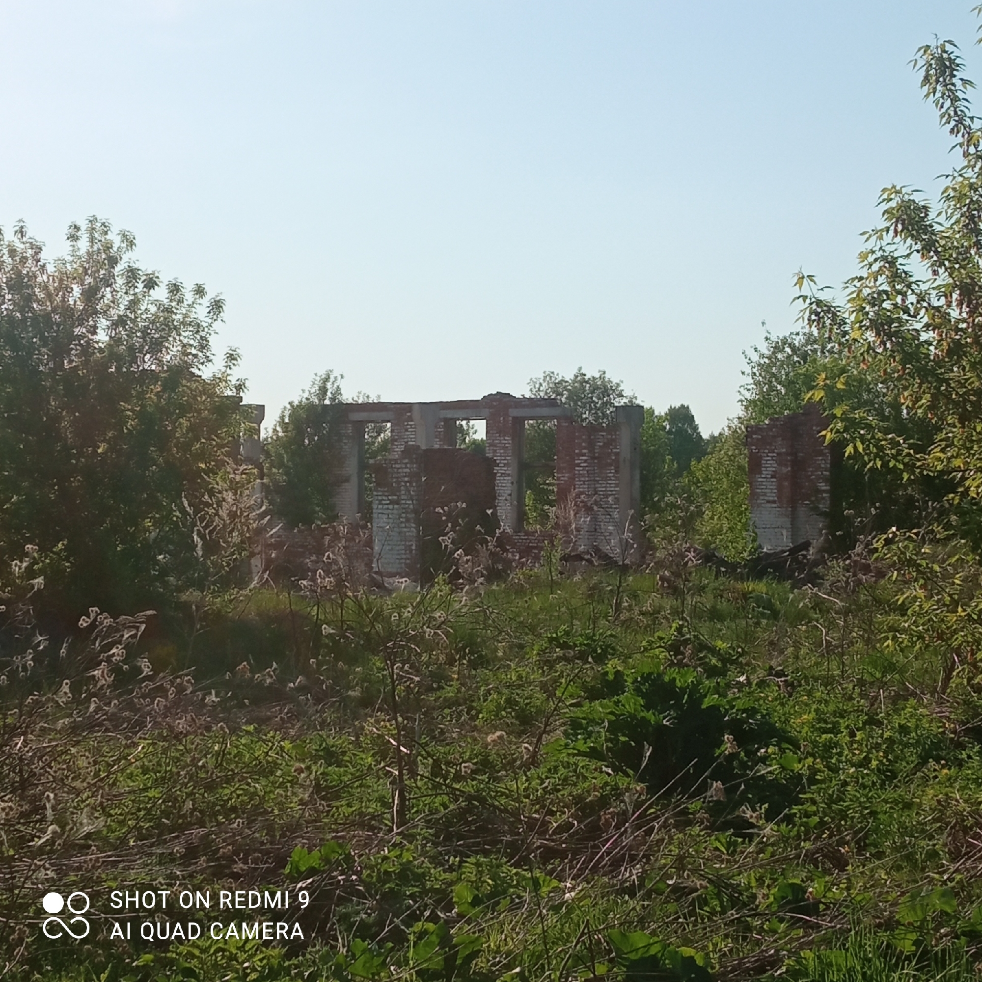 The image shows the dilapidated remains of a brick structure in a grassy, overgrown area. The remnants of walls and window frames are visible. The location is in Кемуль, Russia. The scene is devoid of people, focusing on the ruined building and the surrounding vegetation.