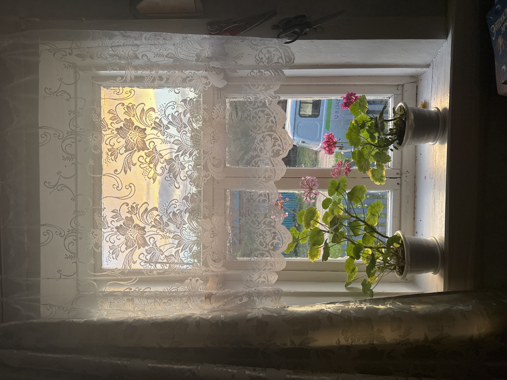 The image depicts a window with lace curtains during sunset in Vasya, Russia. In the foreground, two potted geraniums with green leaves and pink flowers sit on the windowsill. Behind the plants, the window reveals a blurred view of a blue van parked outside. The sky is visible through the lace curtains, displaying hues of orange, yellow, and blue from the sunset. To the right of the window, scissors are mounted on the wall. The overall scene is set in what appears to be a residential interior.