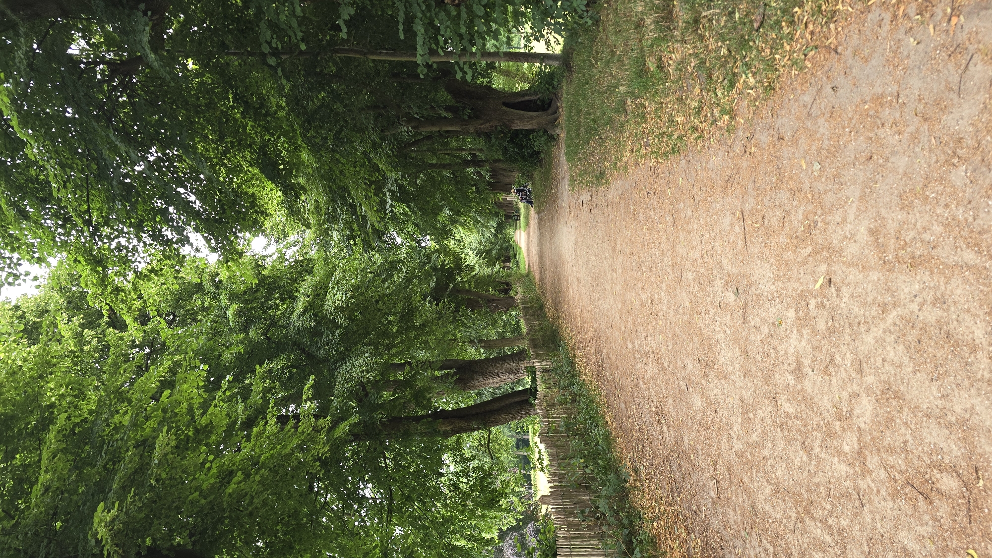 The image depicts a wide, unpaved pathway in a park-like setting, likely in 's-Heerenberg, Netherlands. The pathway is made of light brown gravel and runs through a tree-lined avenue. On the left side of the path, a rustic wooden fence made of sharpened stakes separates the path from a grassy area with some trees. On the right side, the path is bordered by grass and more mature trees with thick trunks, one of which has a large hollow. Further down the path, a couple of benches and what appear to be two individuals are visible, one person appears to be sitting on a bench with a bicycle next to them. The trees overhead form a dense canopy of green leaves, dappling the path with sunlight and shadow. The overall impression is one of a serene, natural environment within a developed area.