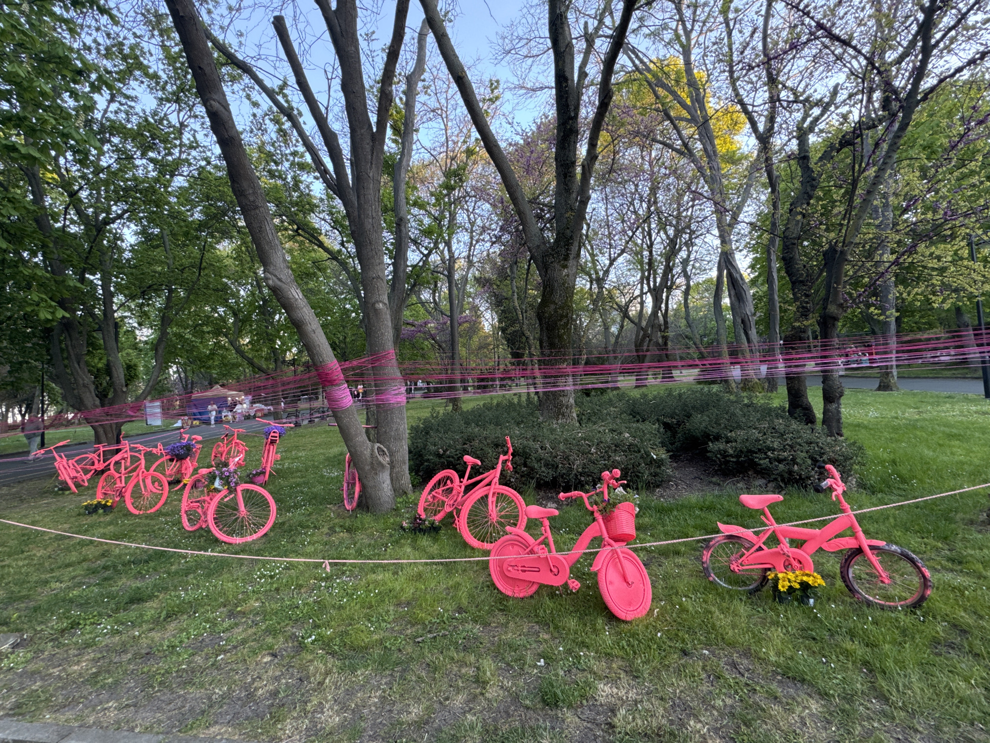 The image shows an outdoor scene in a park, likely in Burgas, Bulgaria, based on the presence of a public art installation involving pink-painted bicycles.
Several pink-painted bicycles are arranged on the grass, near trees that have been wrapped with horizontal pink ribbons or string. The bicycles vary in style, including adult and children's models. Some of the bicycles have flowers placed in their baskets or near the wheels.
In the background, there's a path with some people walking, suggesting this is a public park area. The trees are a mix of deciduous types, some with leaves and some without. The grass is green.
The sky is visible between the trees, suggesting a late afternoon or early evening light. The overall impression is an artistic, whimsical installation in a public park setting.